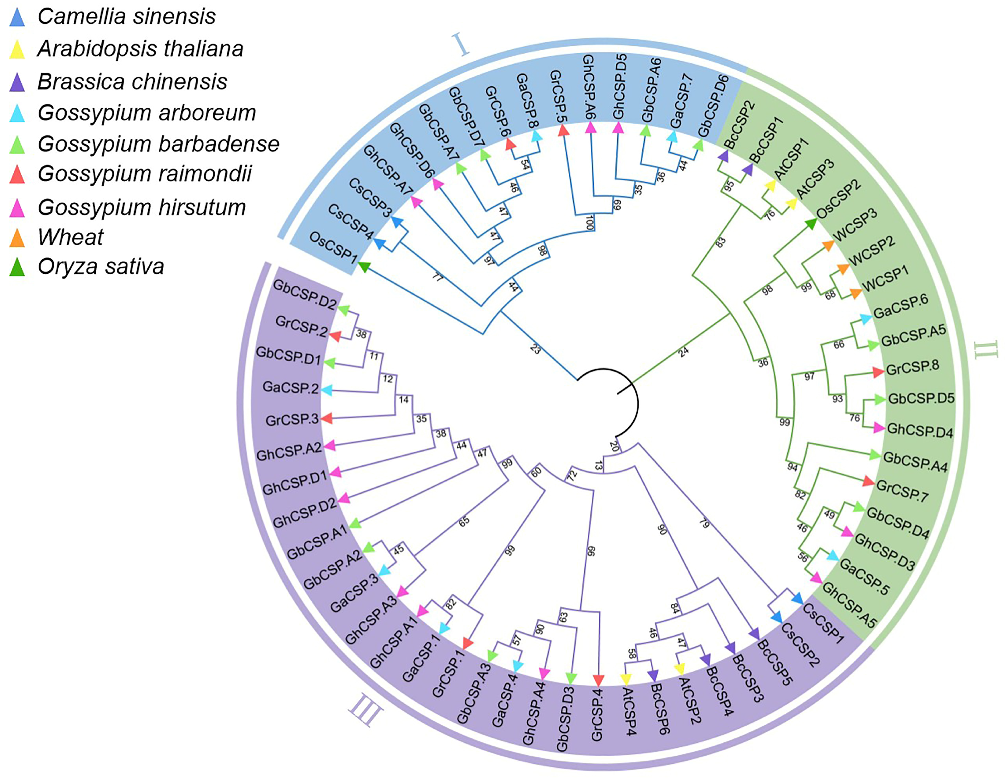 Plants 13 00643 g005 Plants 13 00643 g005