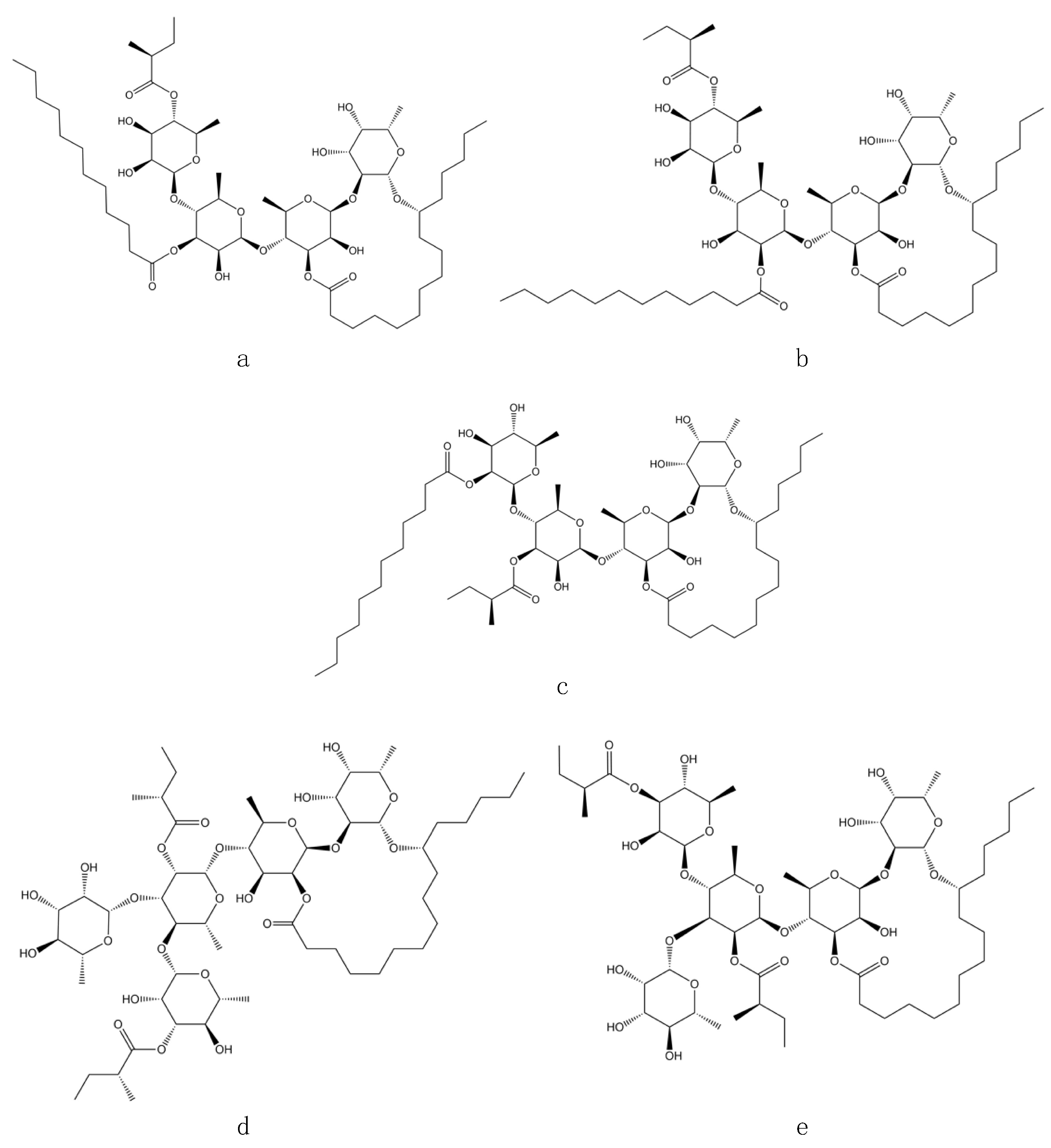 Plants 13 00644 g001 Plants 13 00644 g001