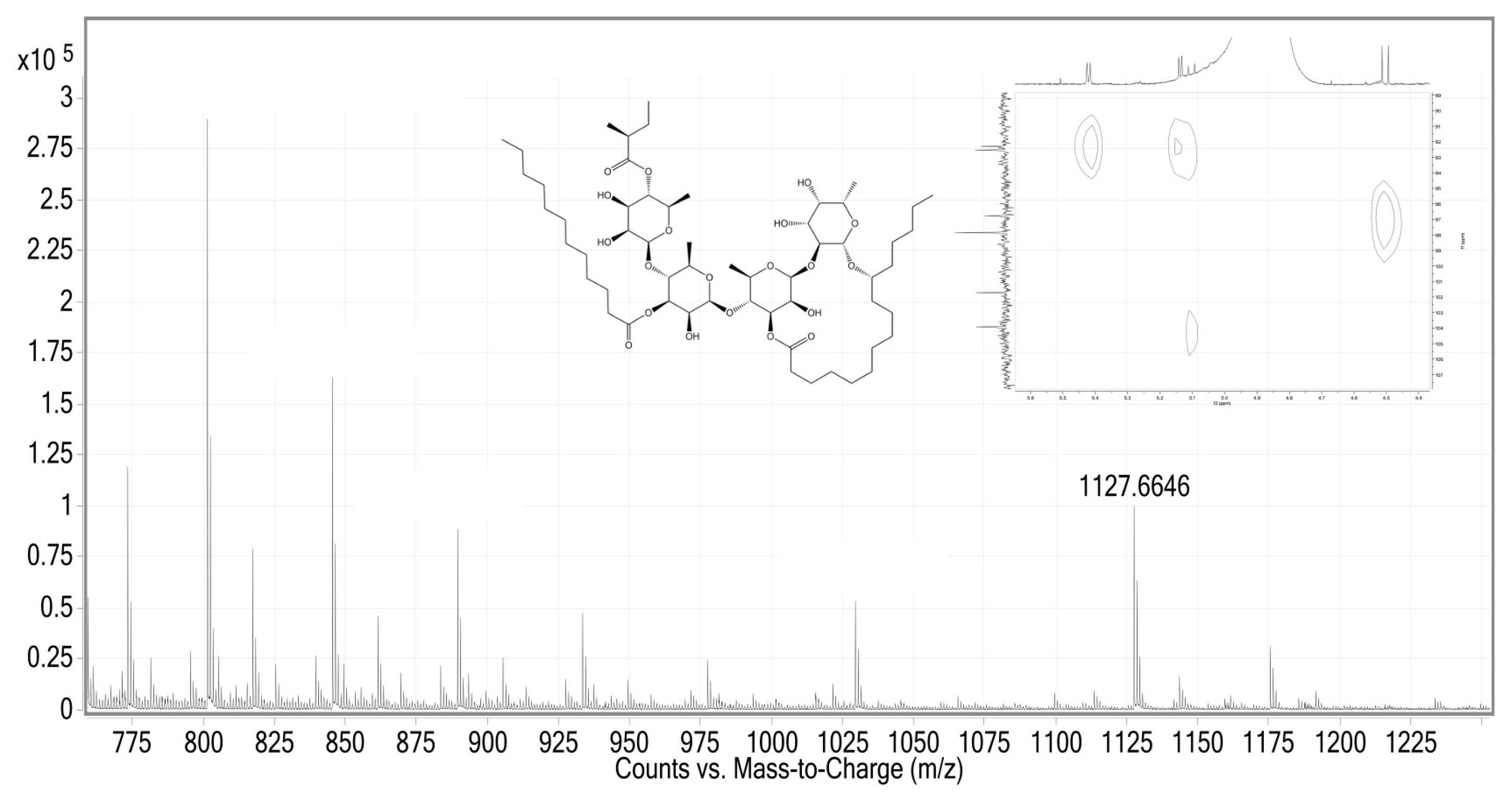 Plants 13 00644 g002 Plants 13 00644 g002