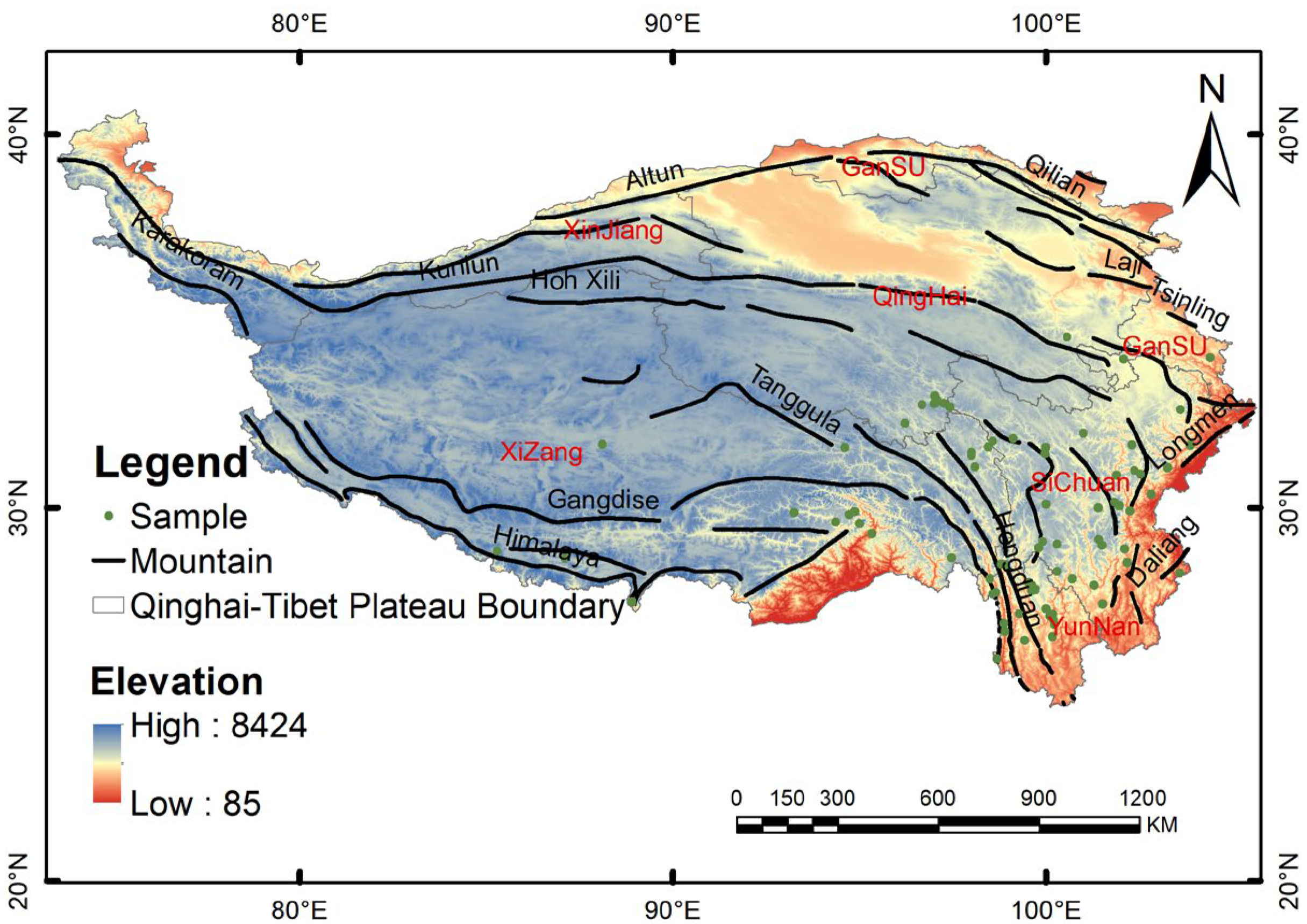 Plants 13 00645 g001