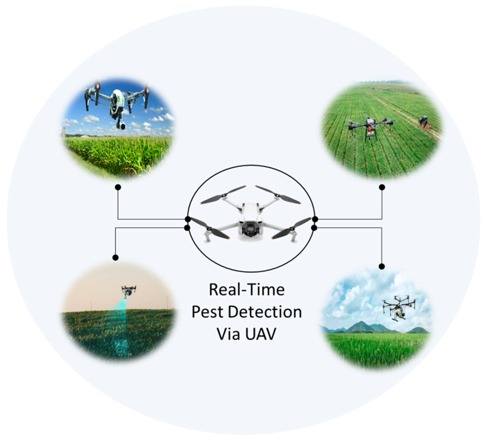 Plants 13 00653 g001