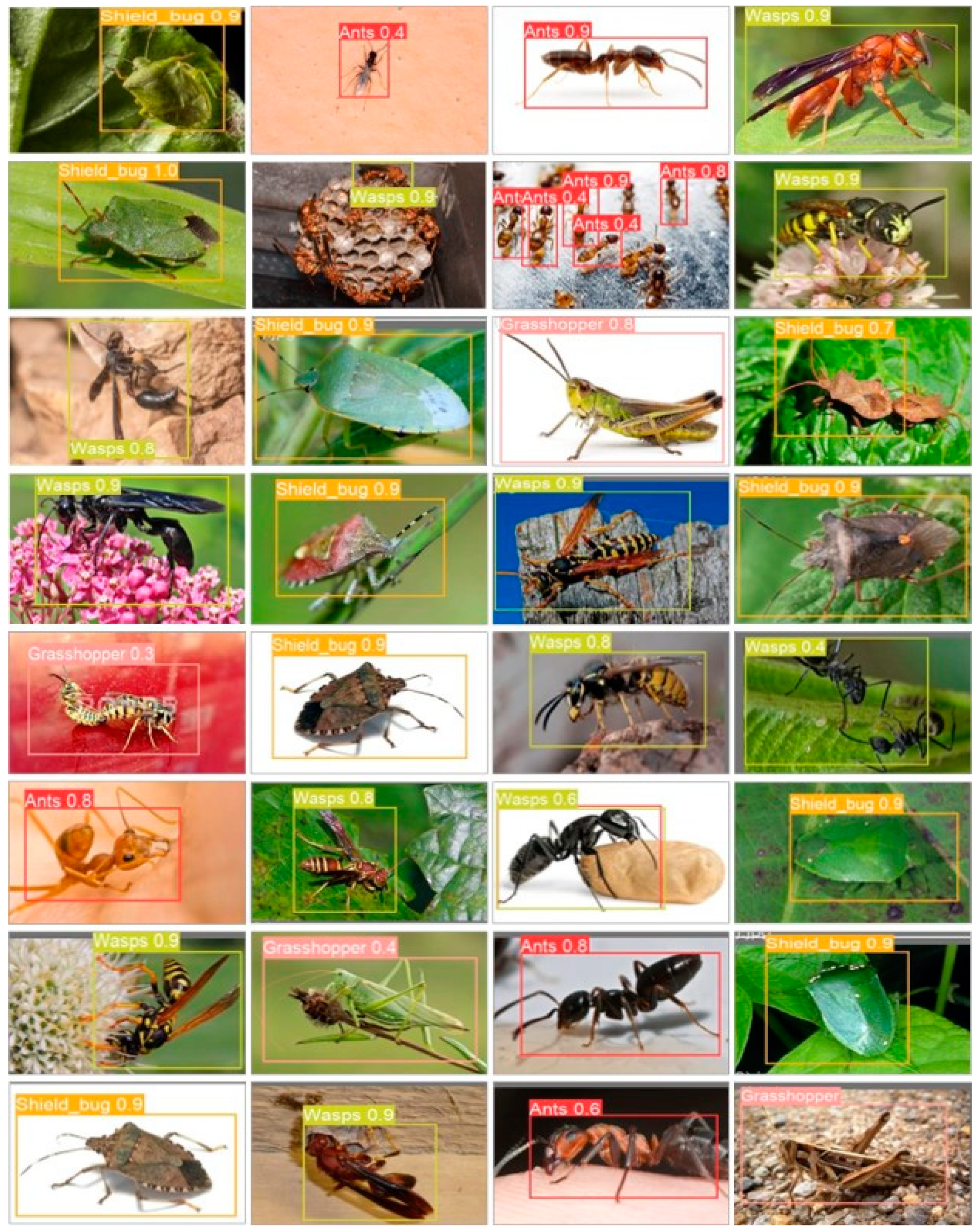 Plants 13 00653 g009