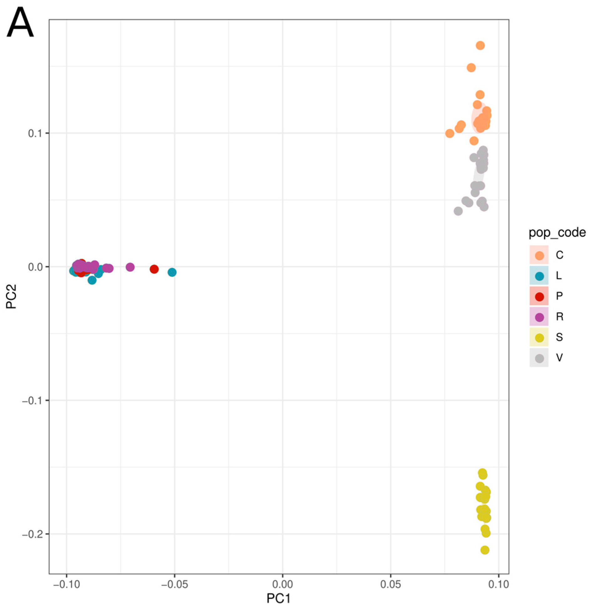 Plants 13 00654 g001a
