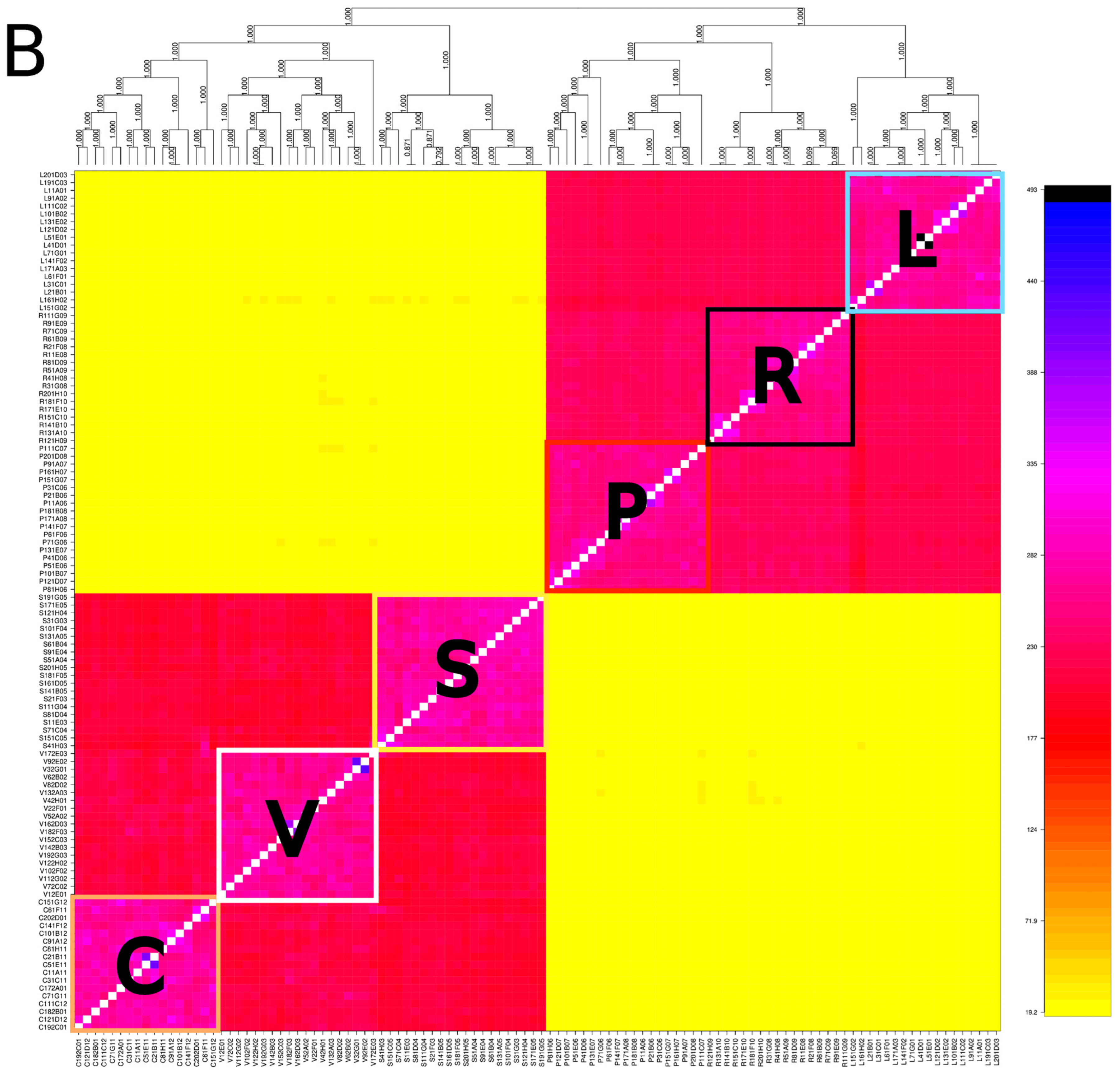 Plants 13 00654 g001b