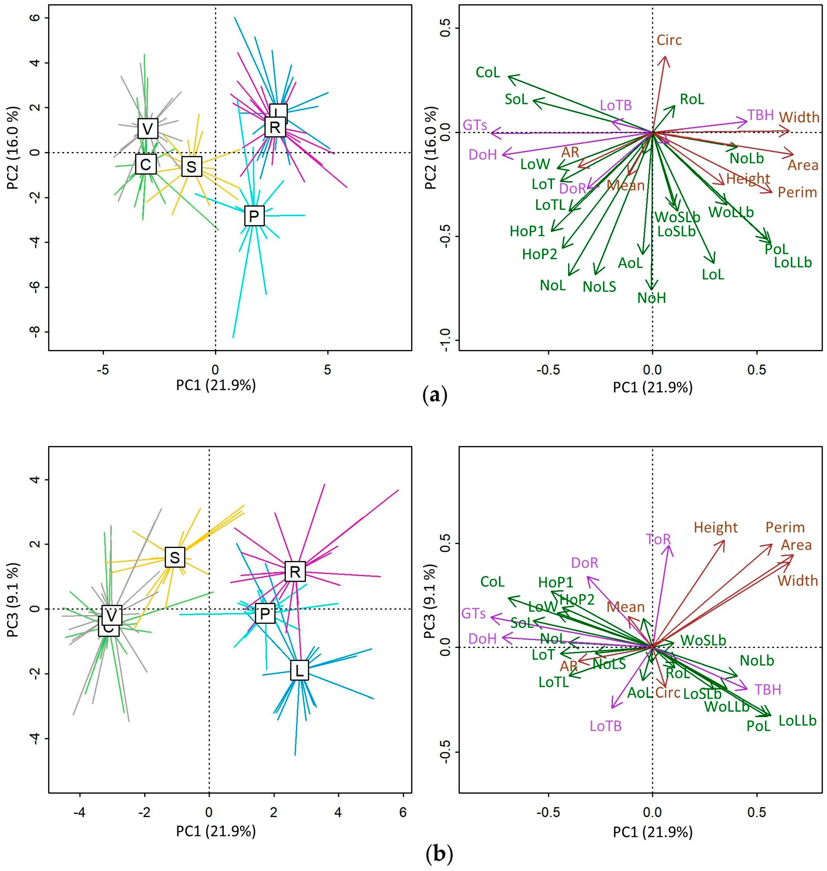 Plants 13 00654 g002