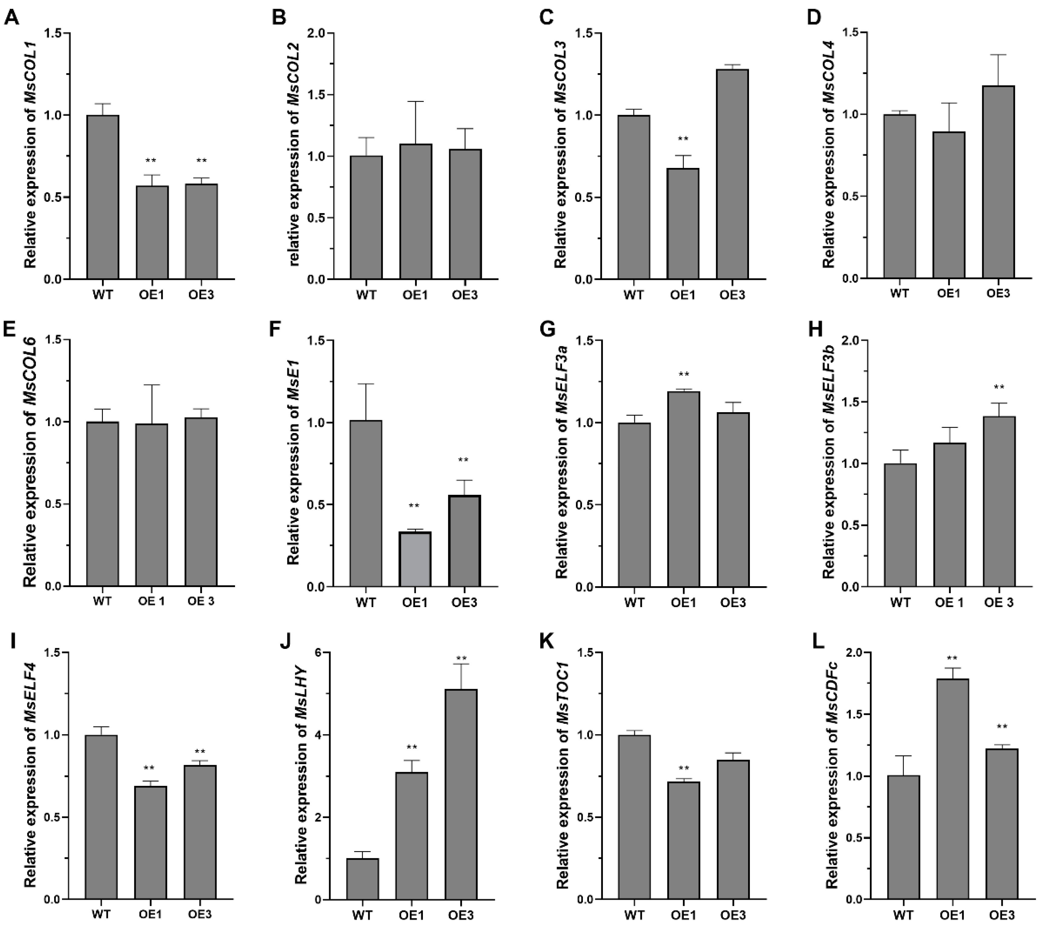 Plants 13 00655 g005