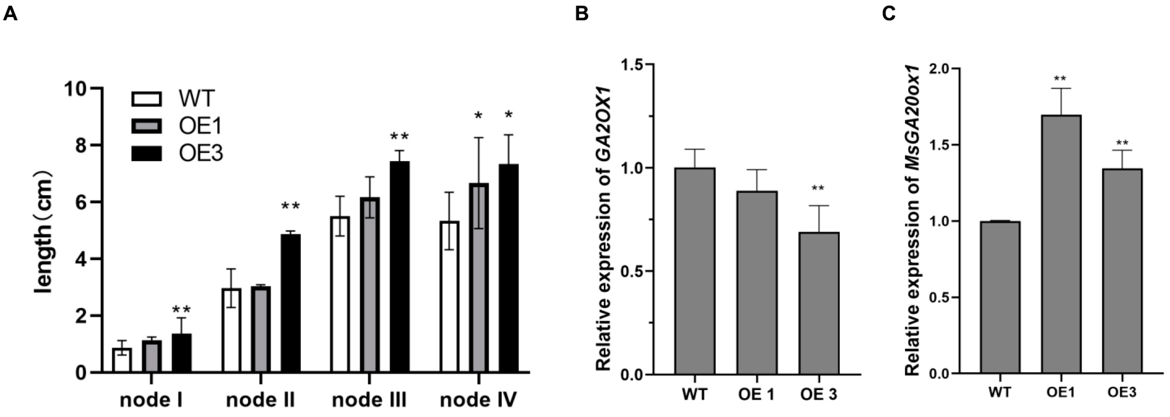 Plants 13 00655 g006