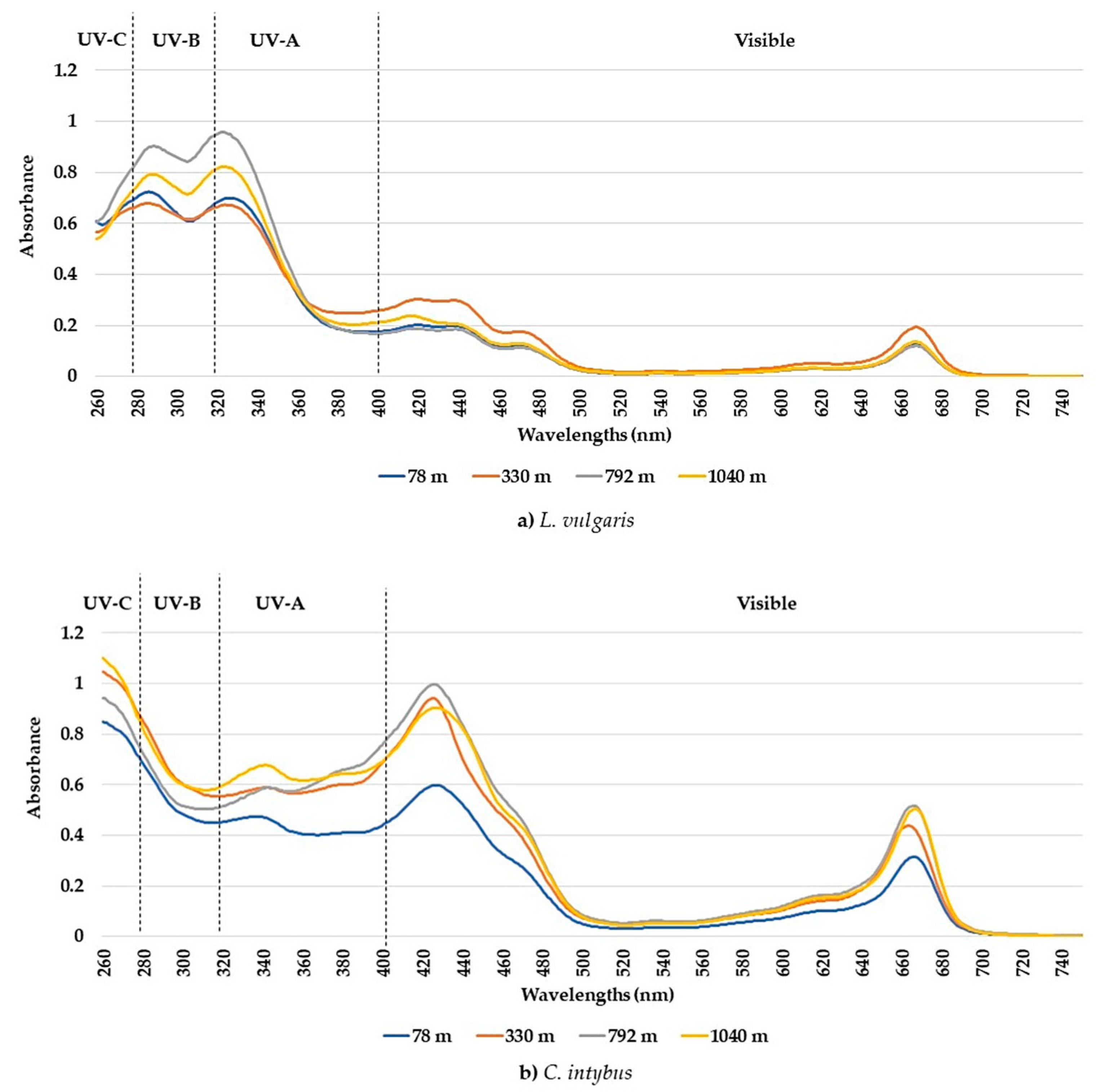 Plants 13 00657 g001