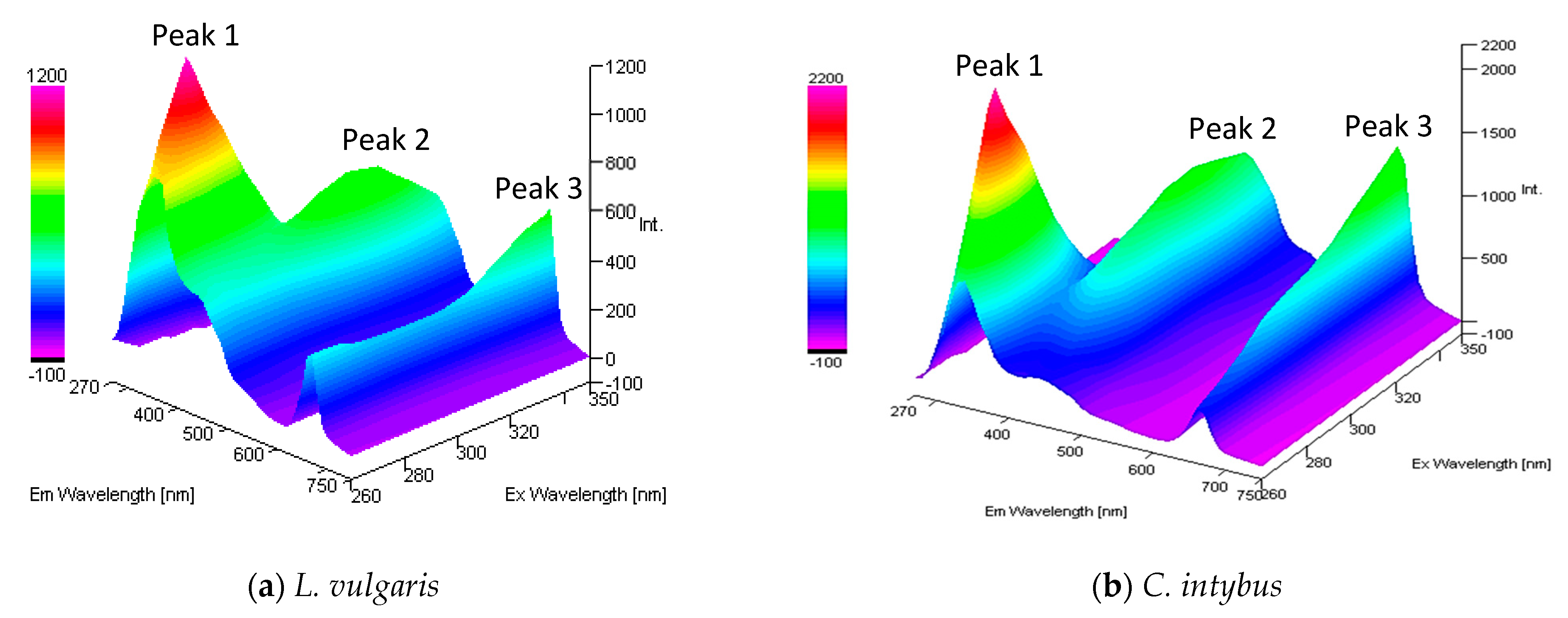 Plants 13 00657 g007