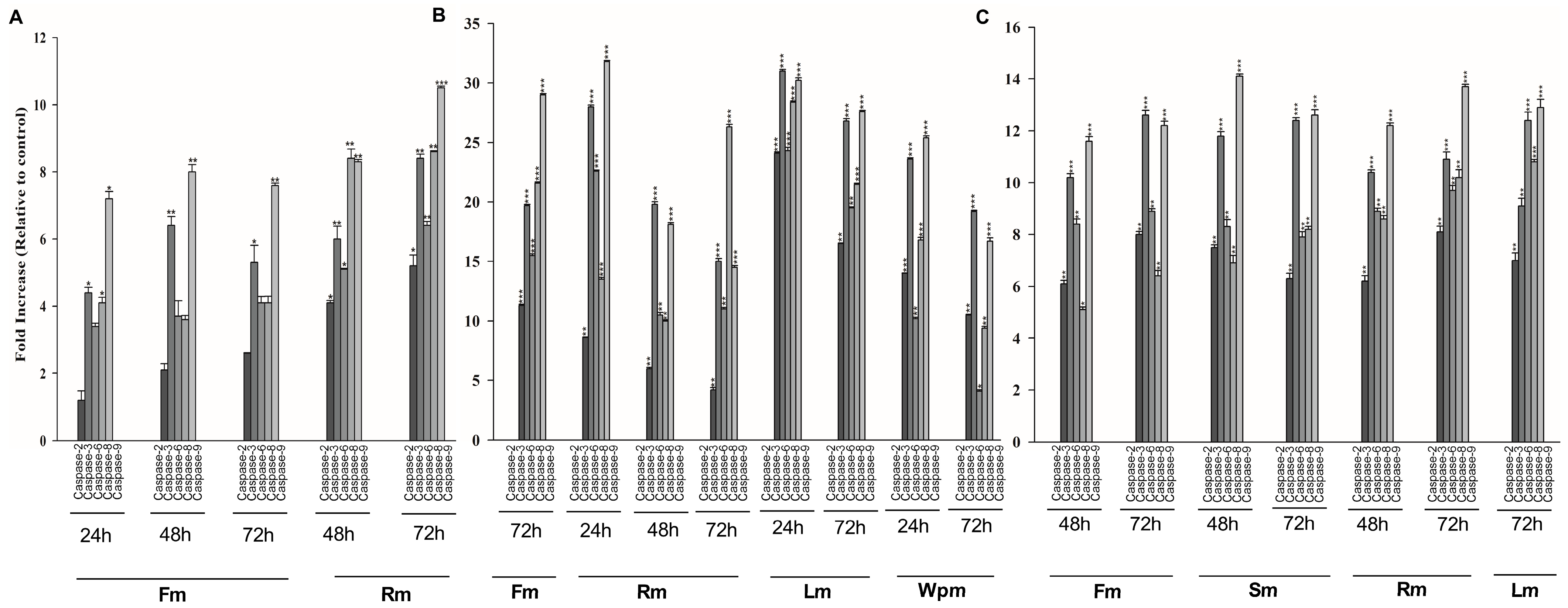 Plants 13 00658 g001