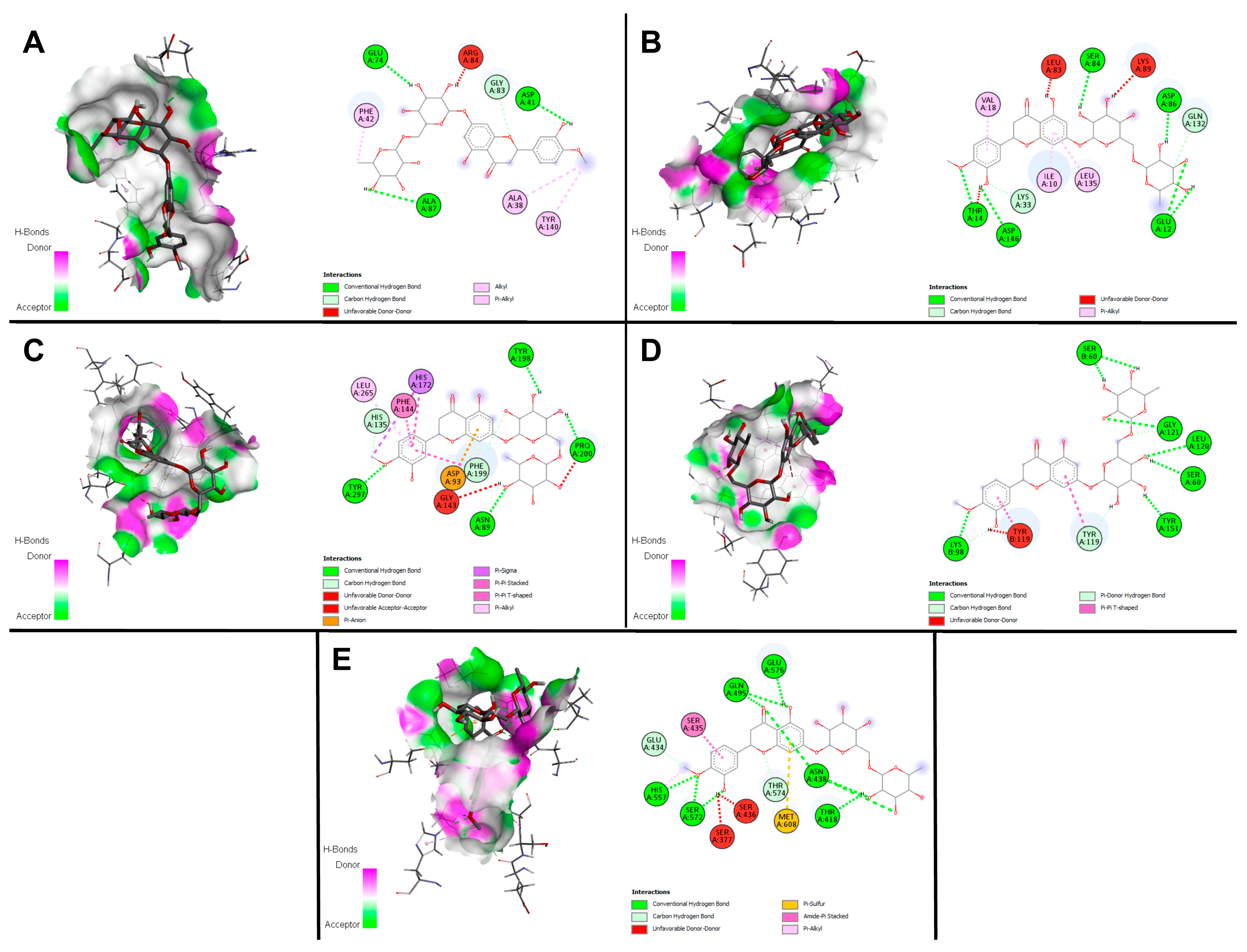 Plants 13 00658 g004