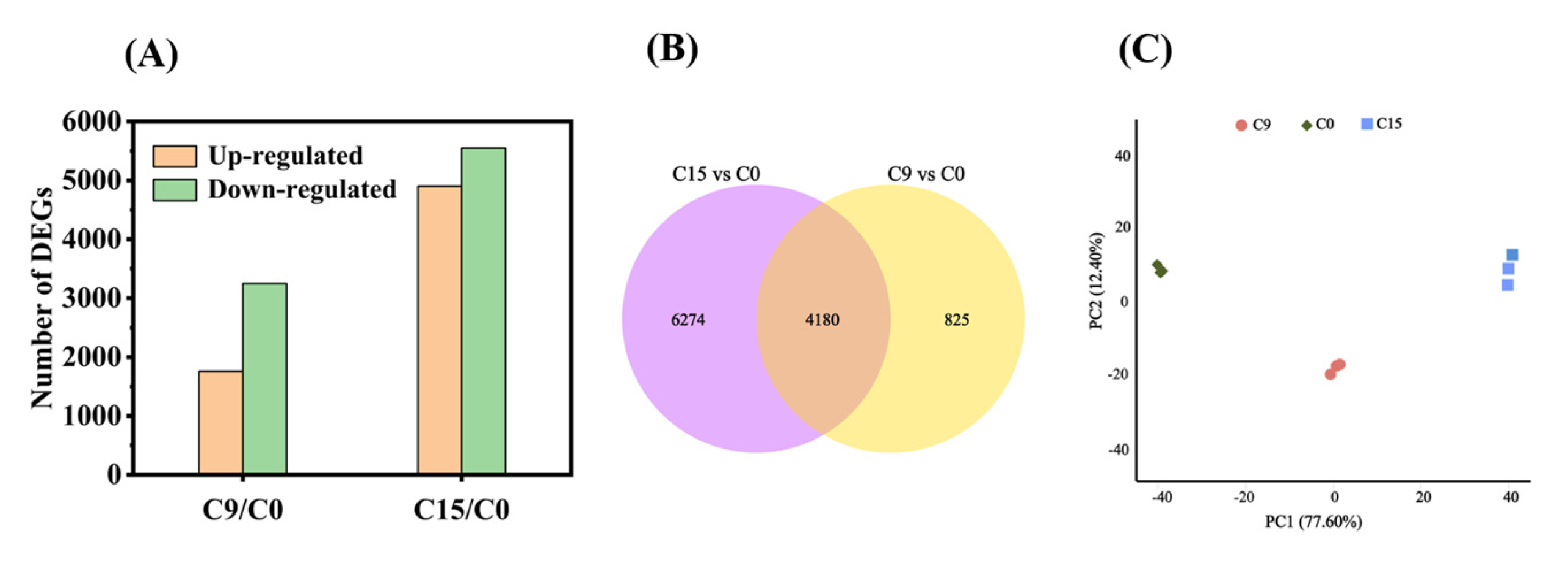 Plants 13 00659 g003