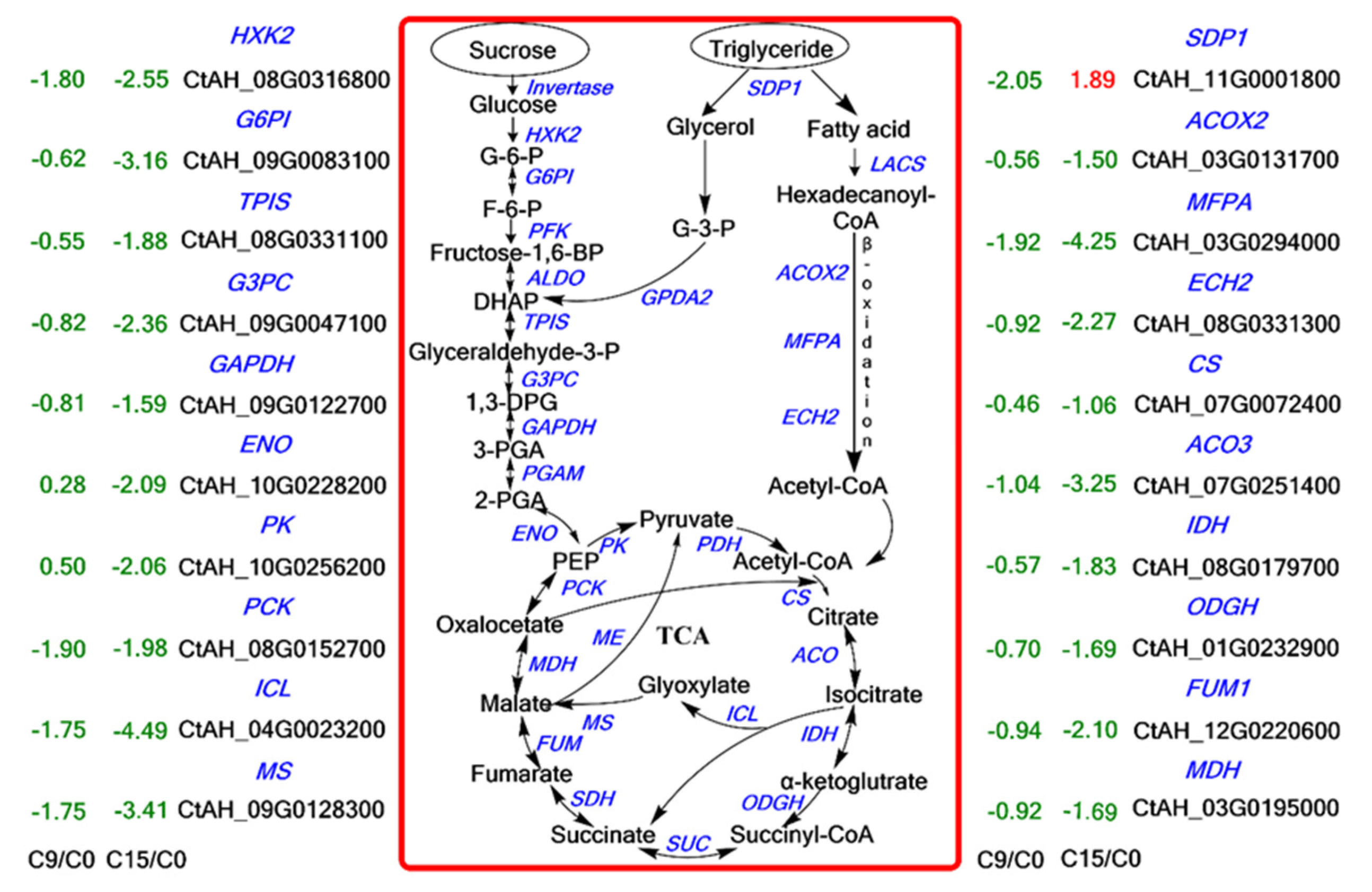 Plants 13 00659 g005