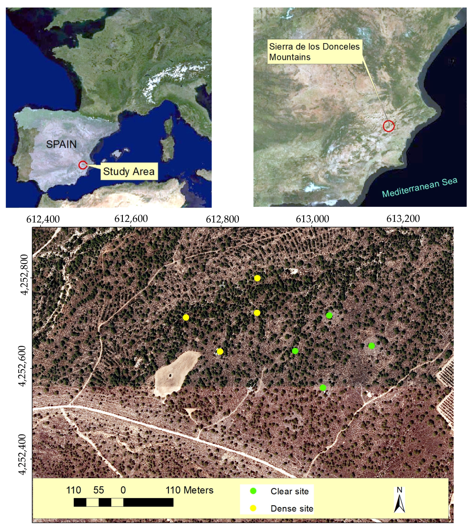 Plants 13 00661 g008