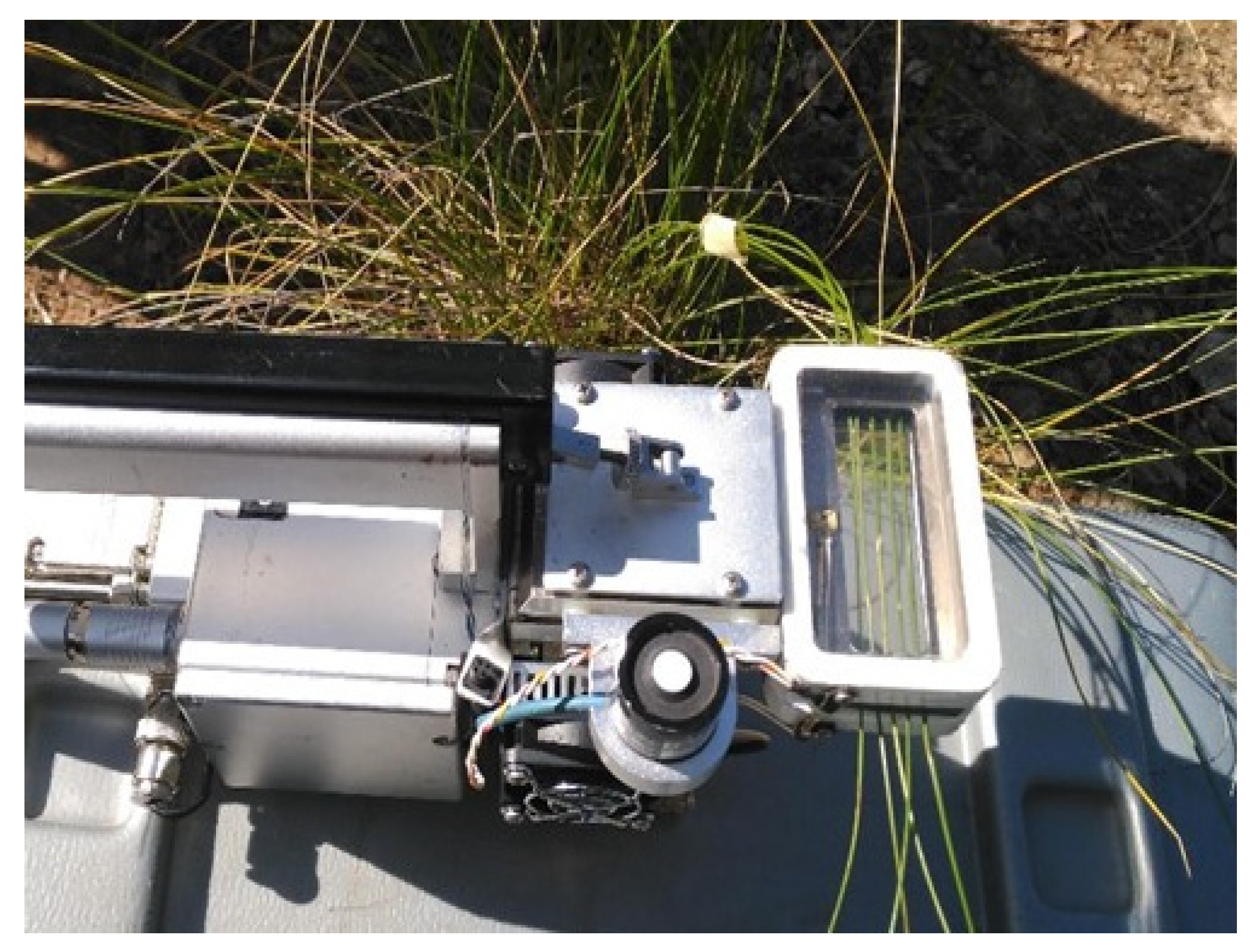 Plants 13 00661 g009