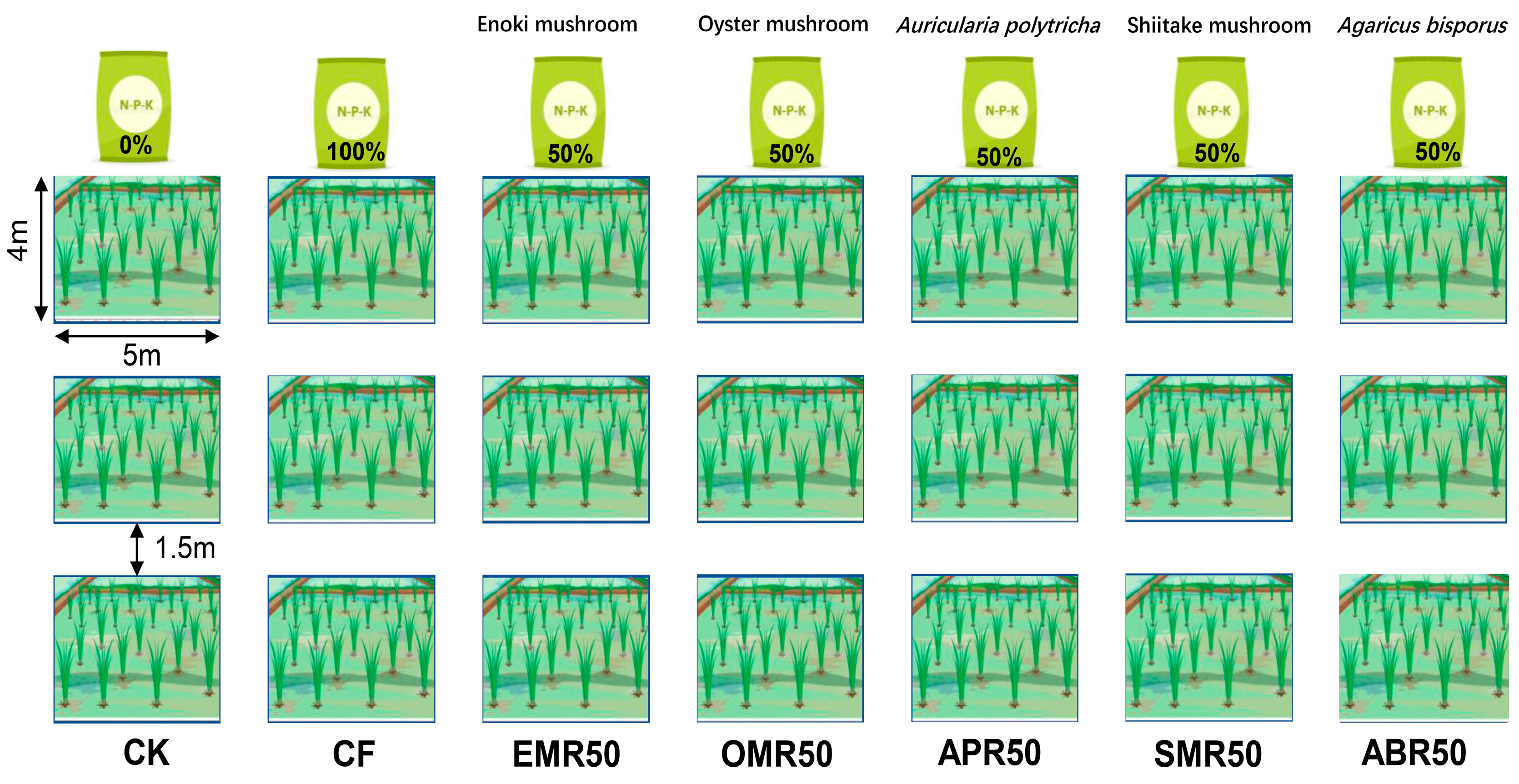 Plants 13 00663 g004