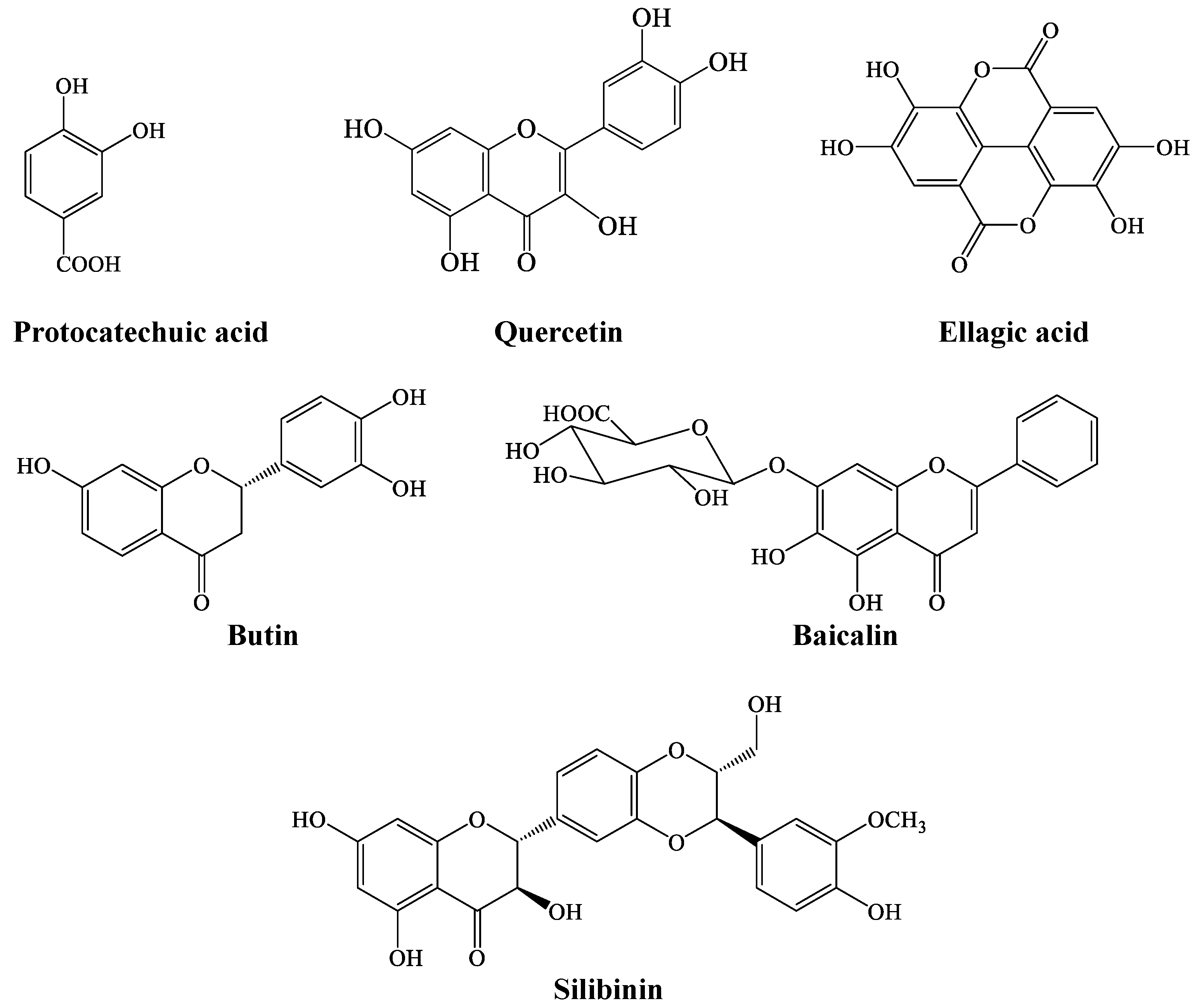 Plants 13 00665 g006