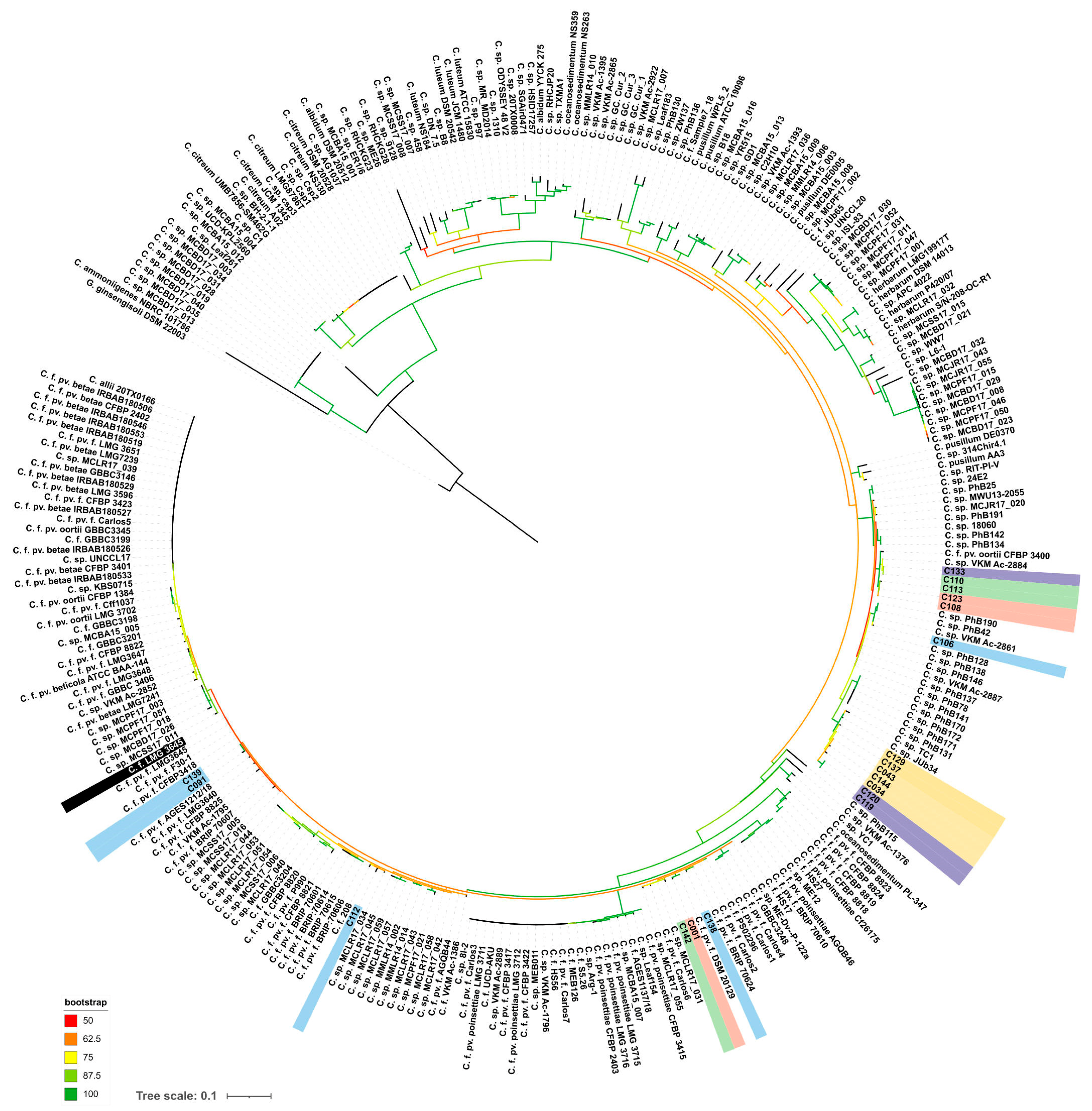 Plants 13 00667 g004