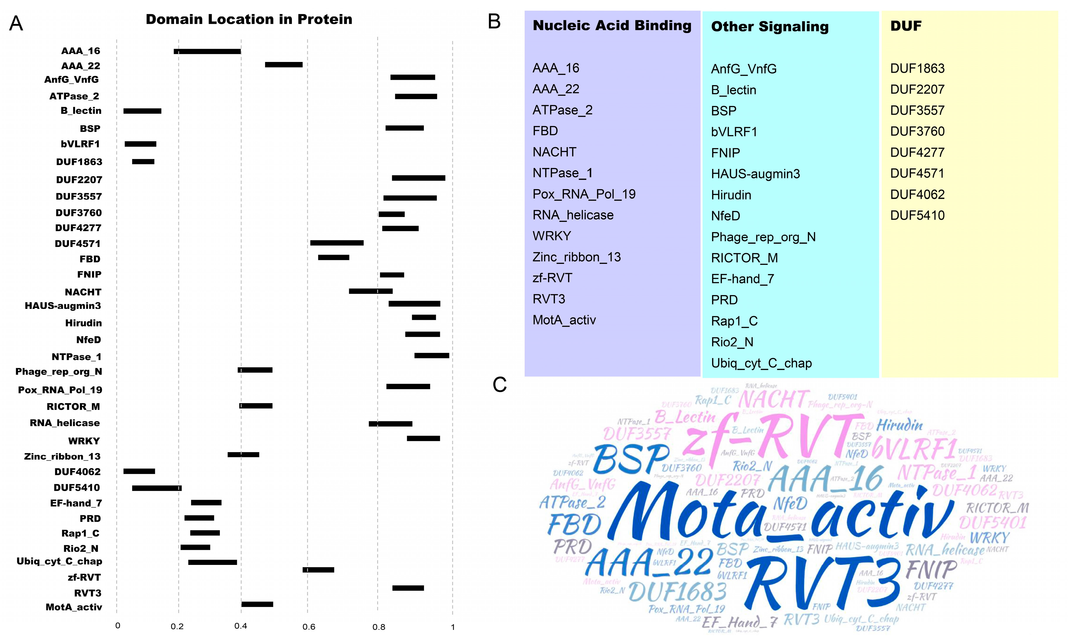 Plants 13 00668 g001