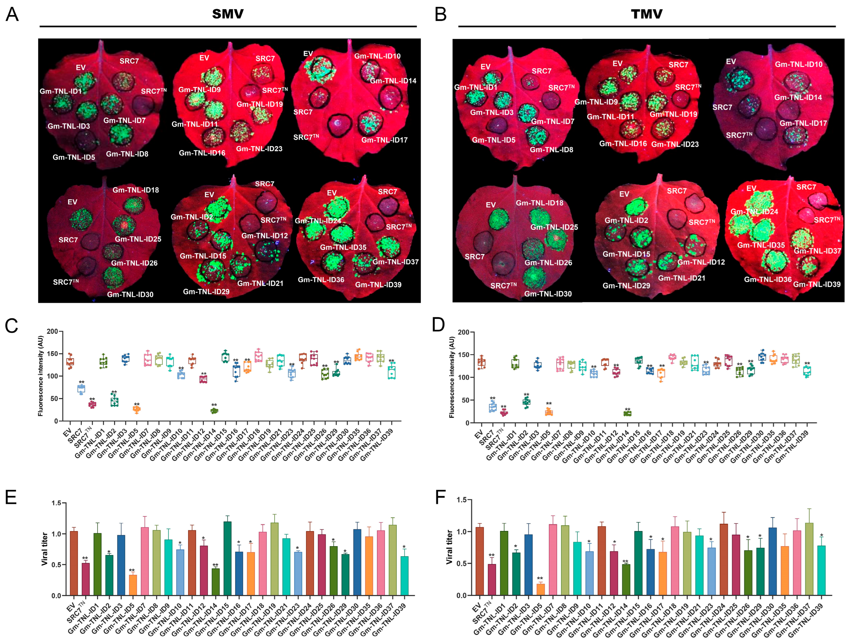Plants 13 00668 g002