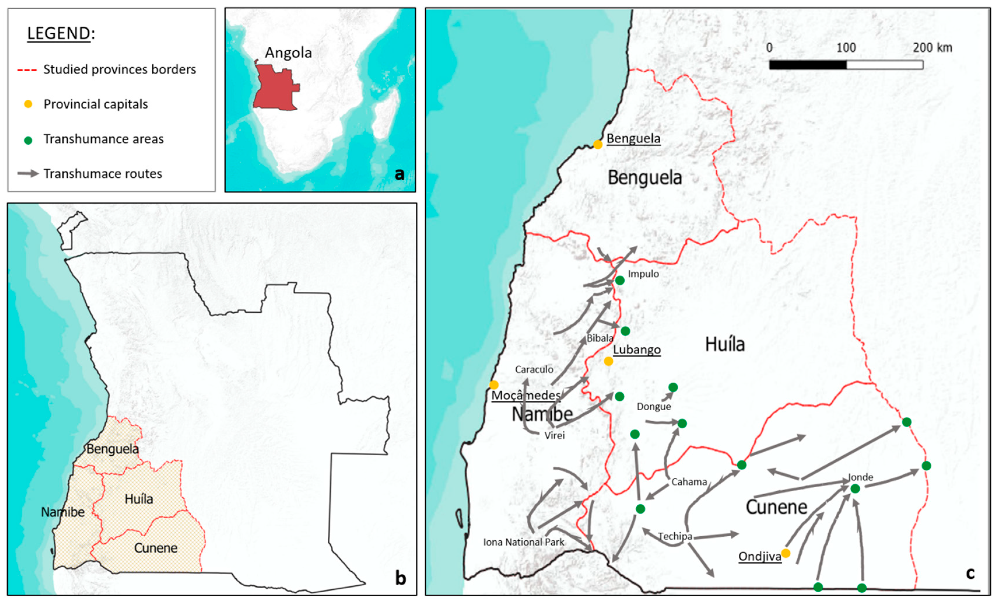 Plants 13 00670 g002