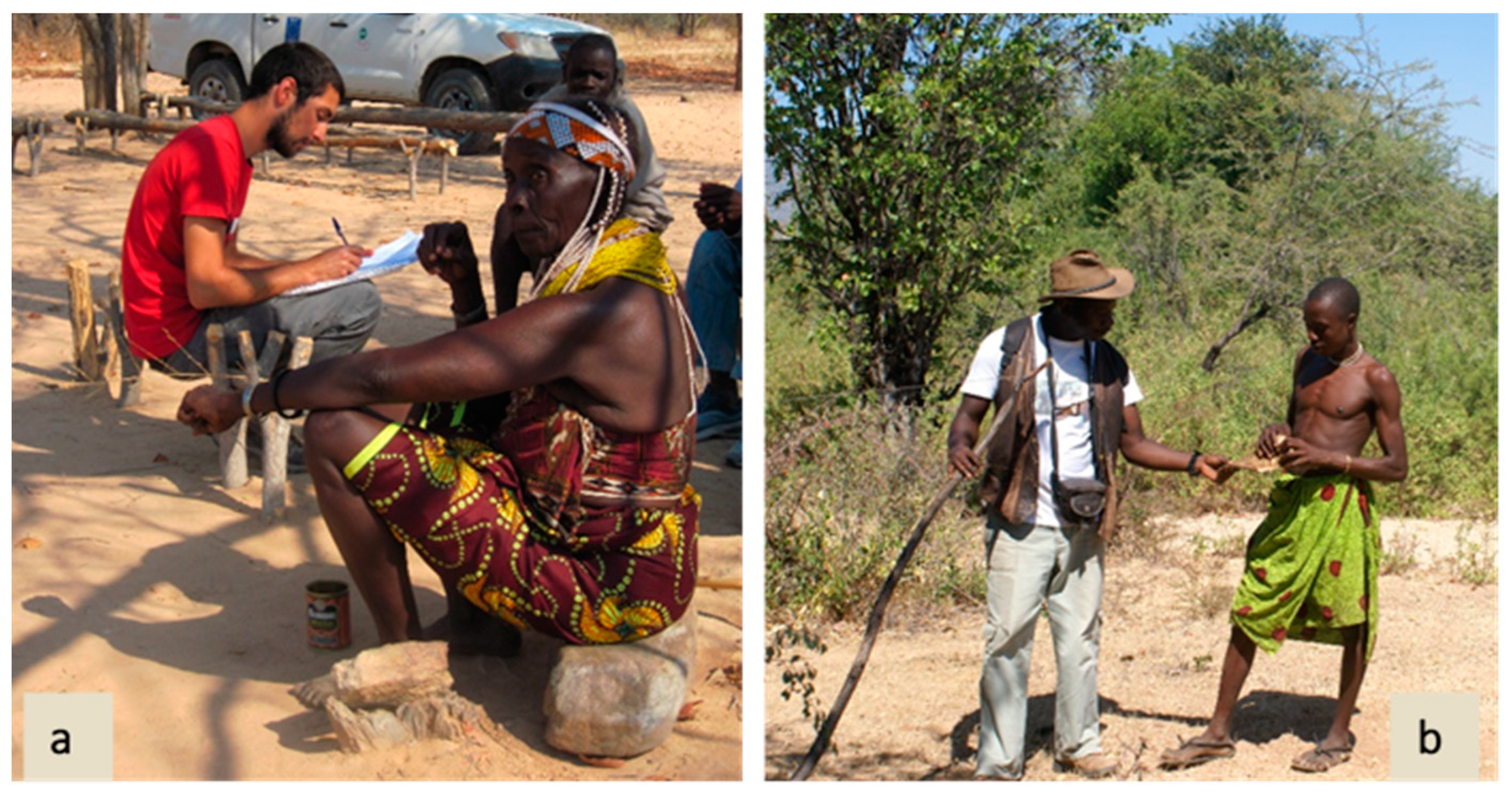 Plants 13 00670 g003