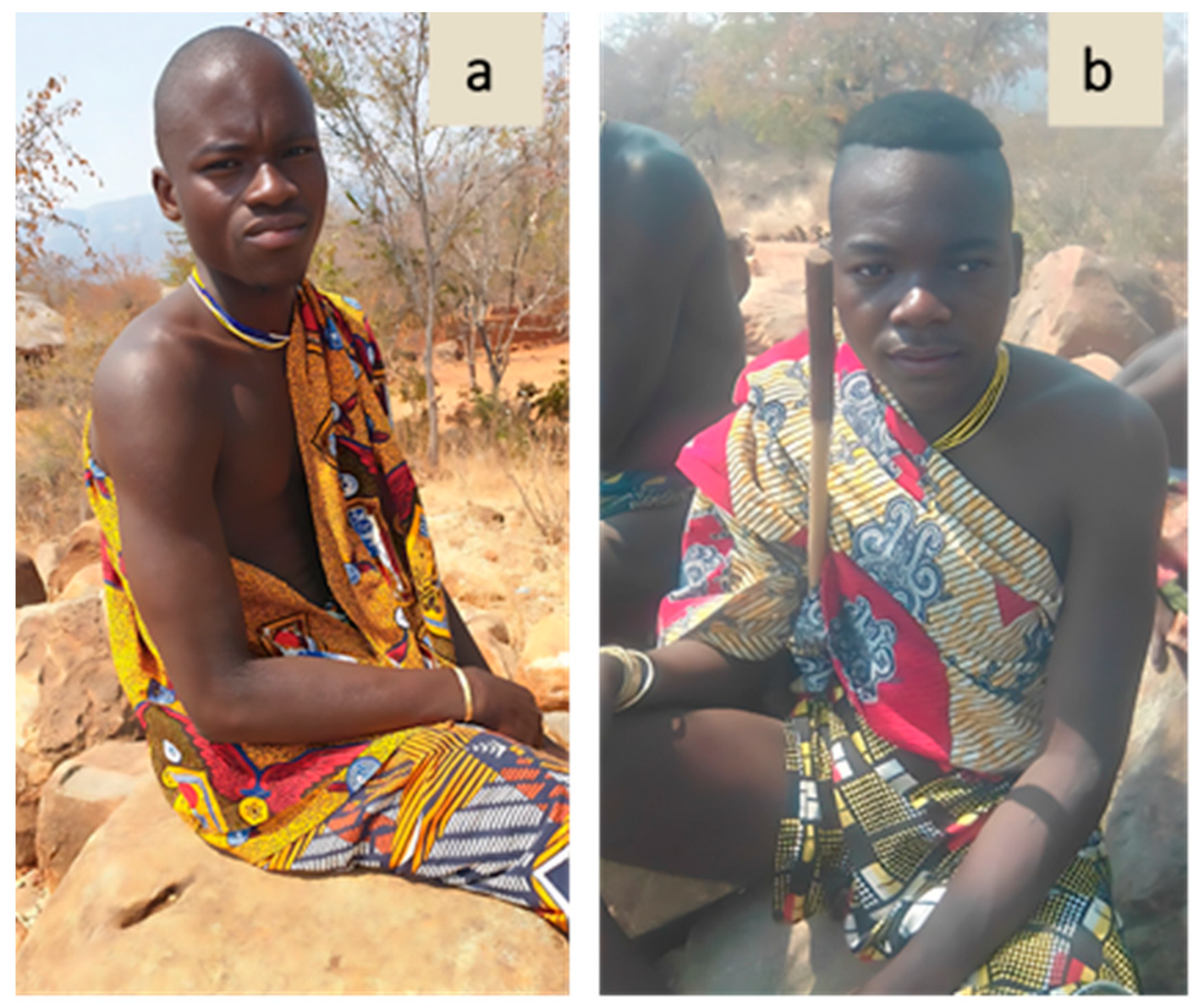 Plants 13 00670 g008