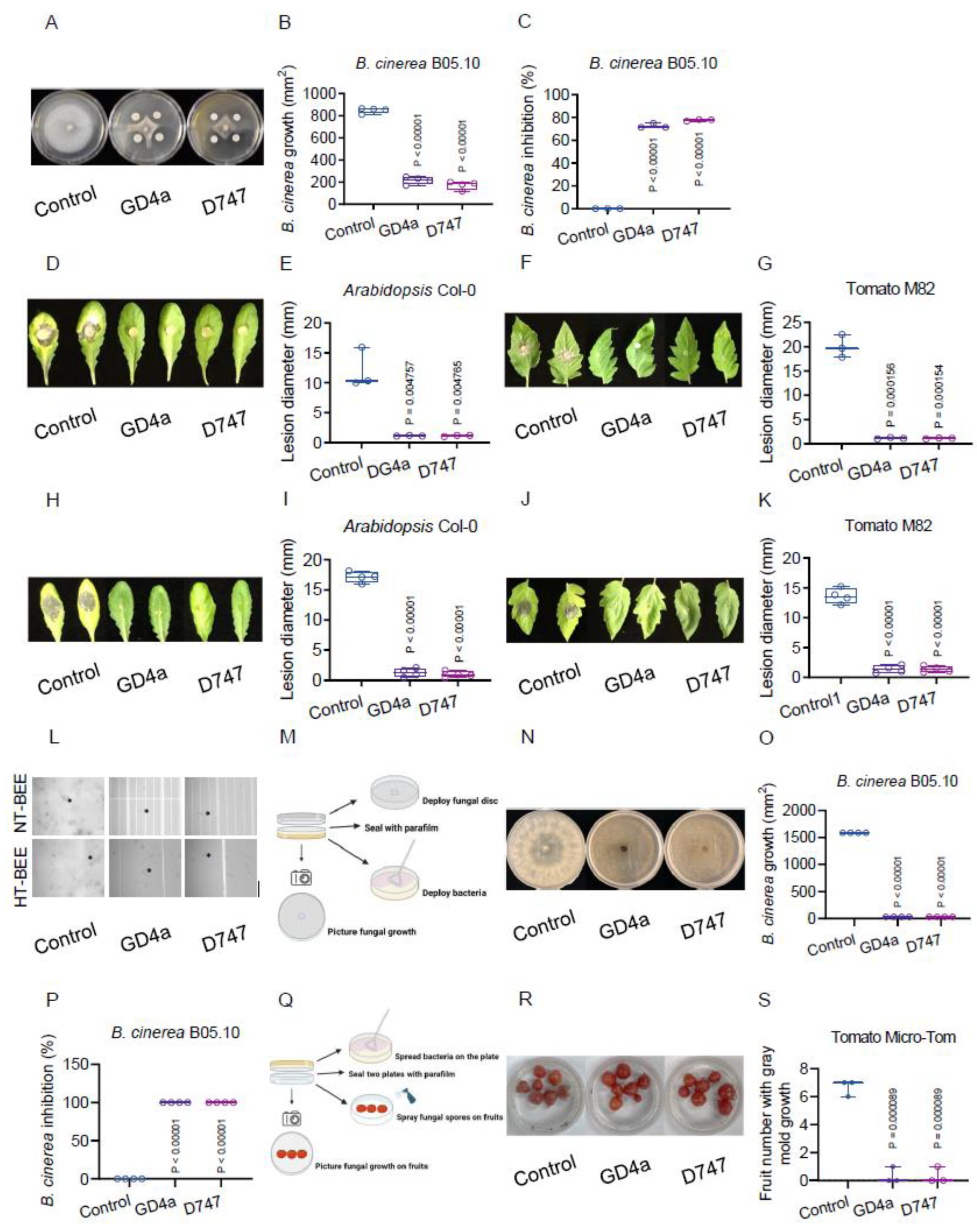 Plants 13 00672 g002