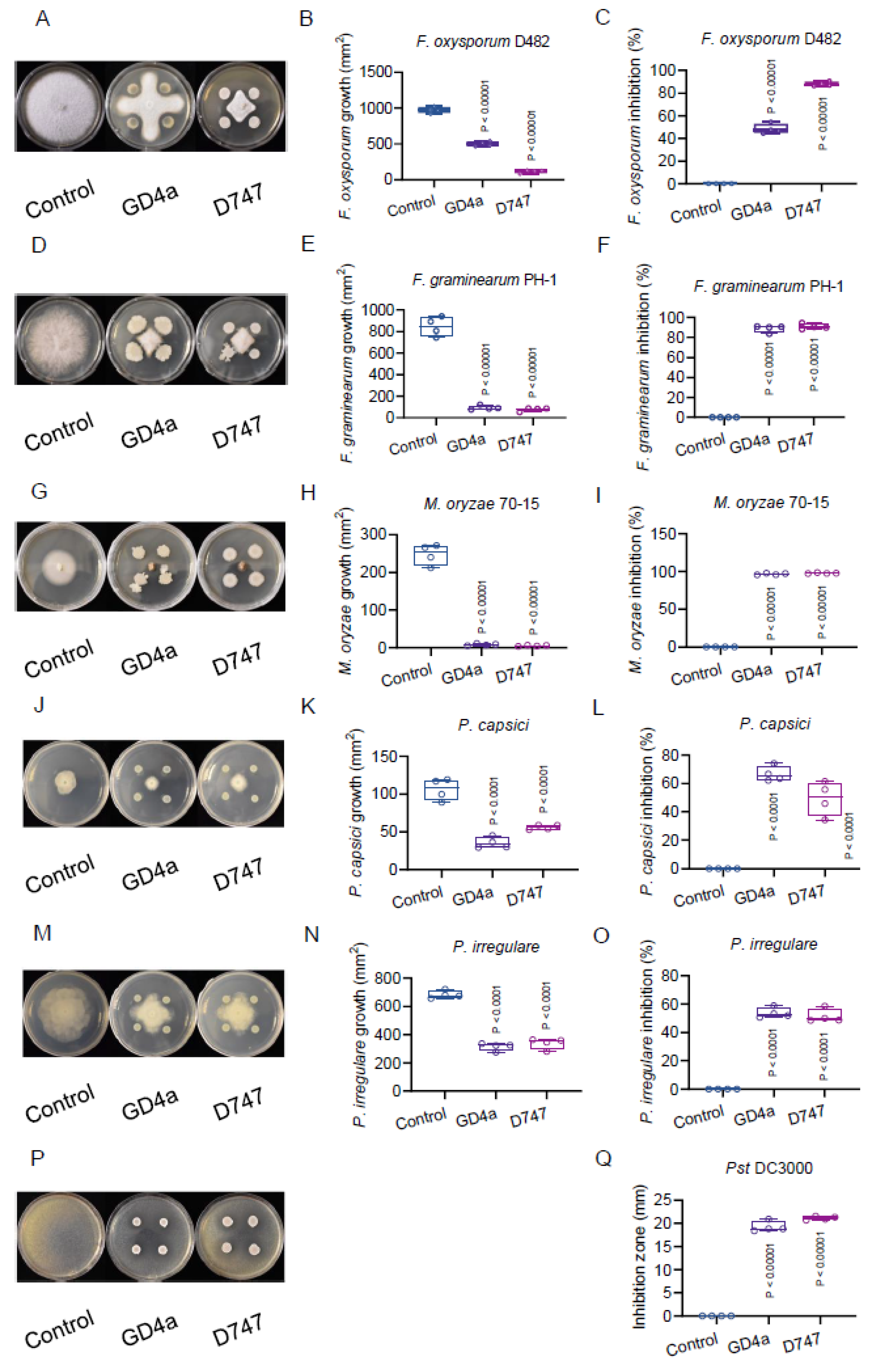 Plants 13 00672 g003