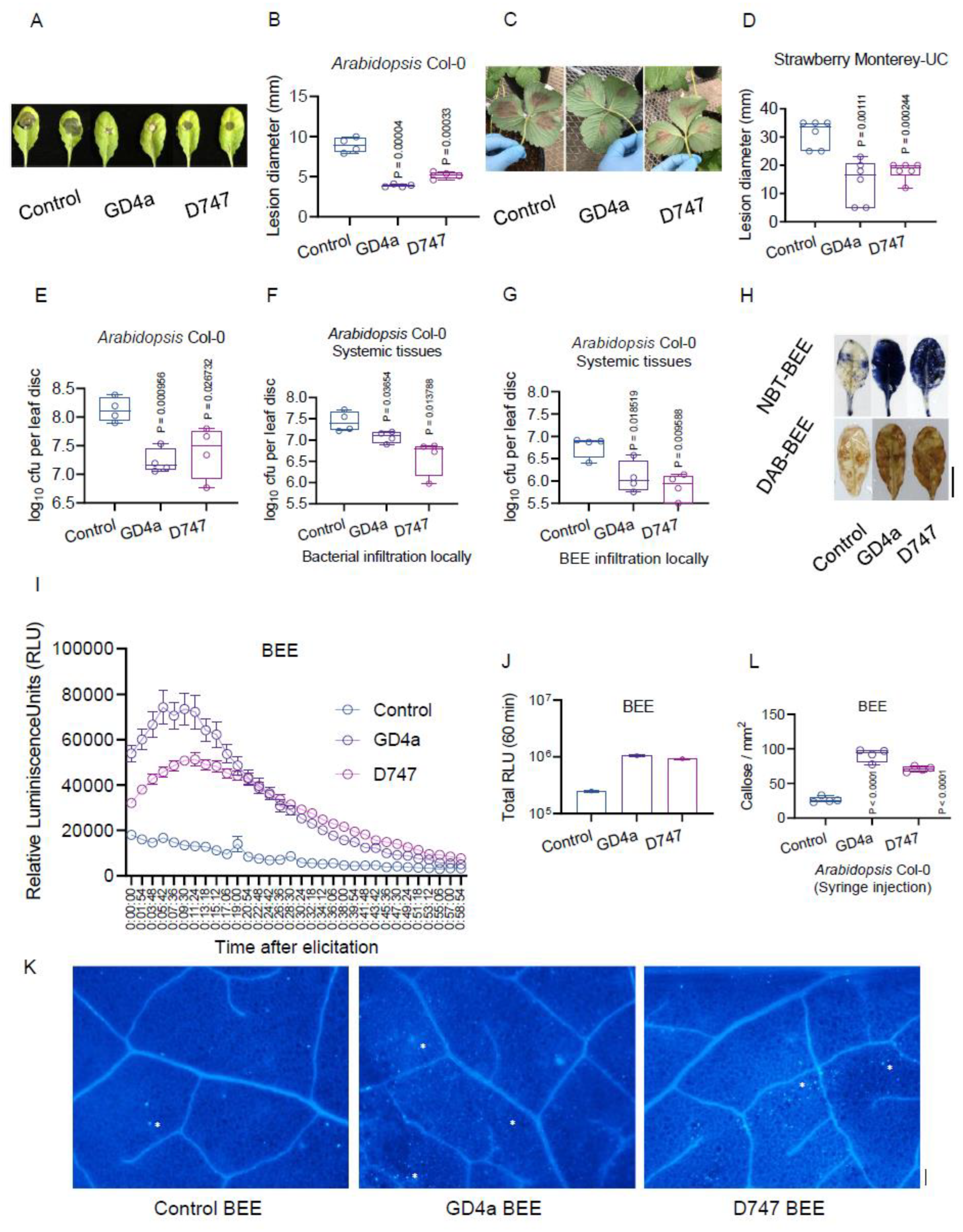 Plants 13 00672 g004