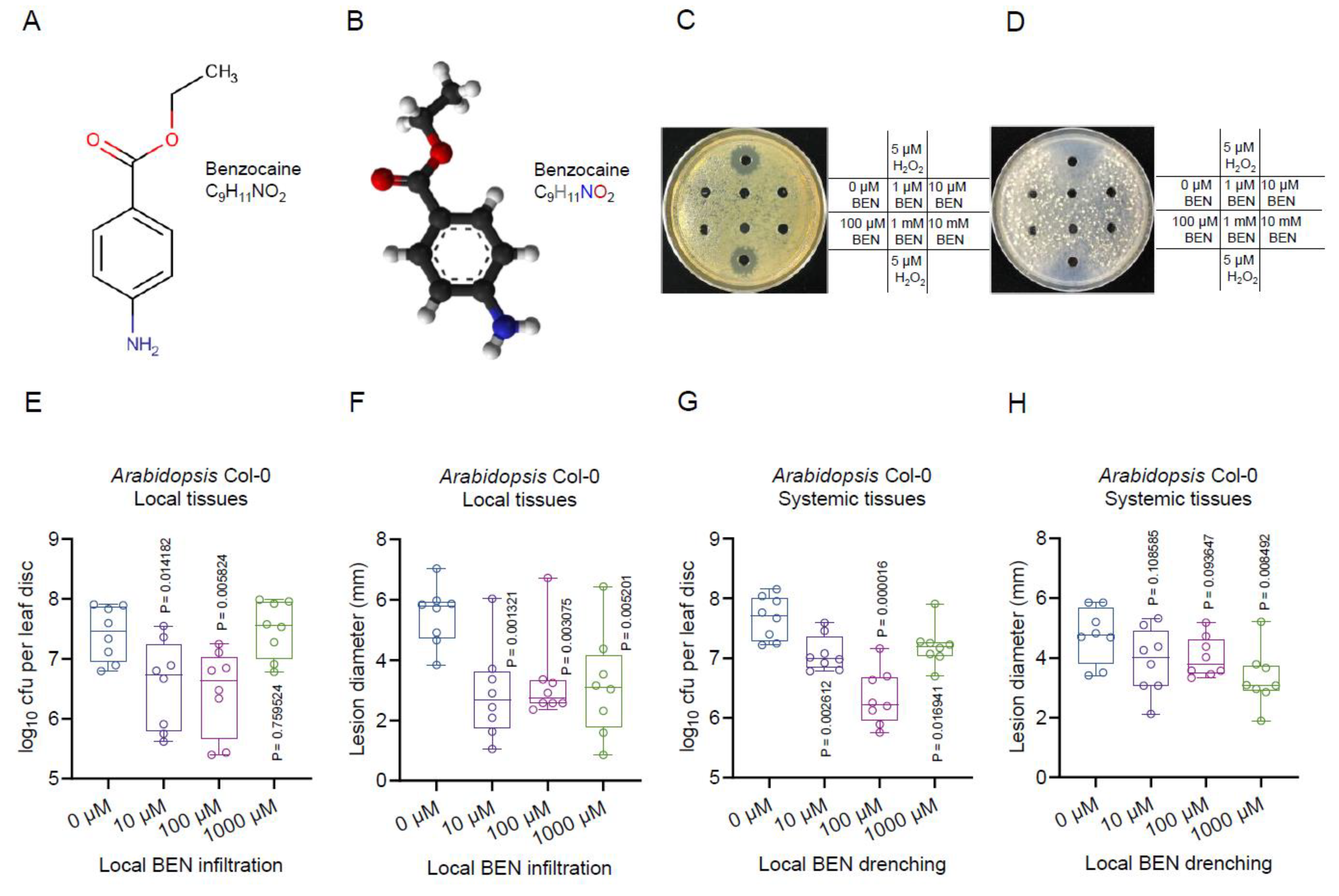 Plants 13 00672 g006