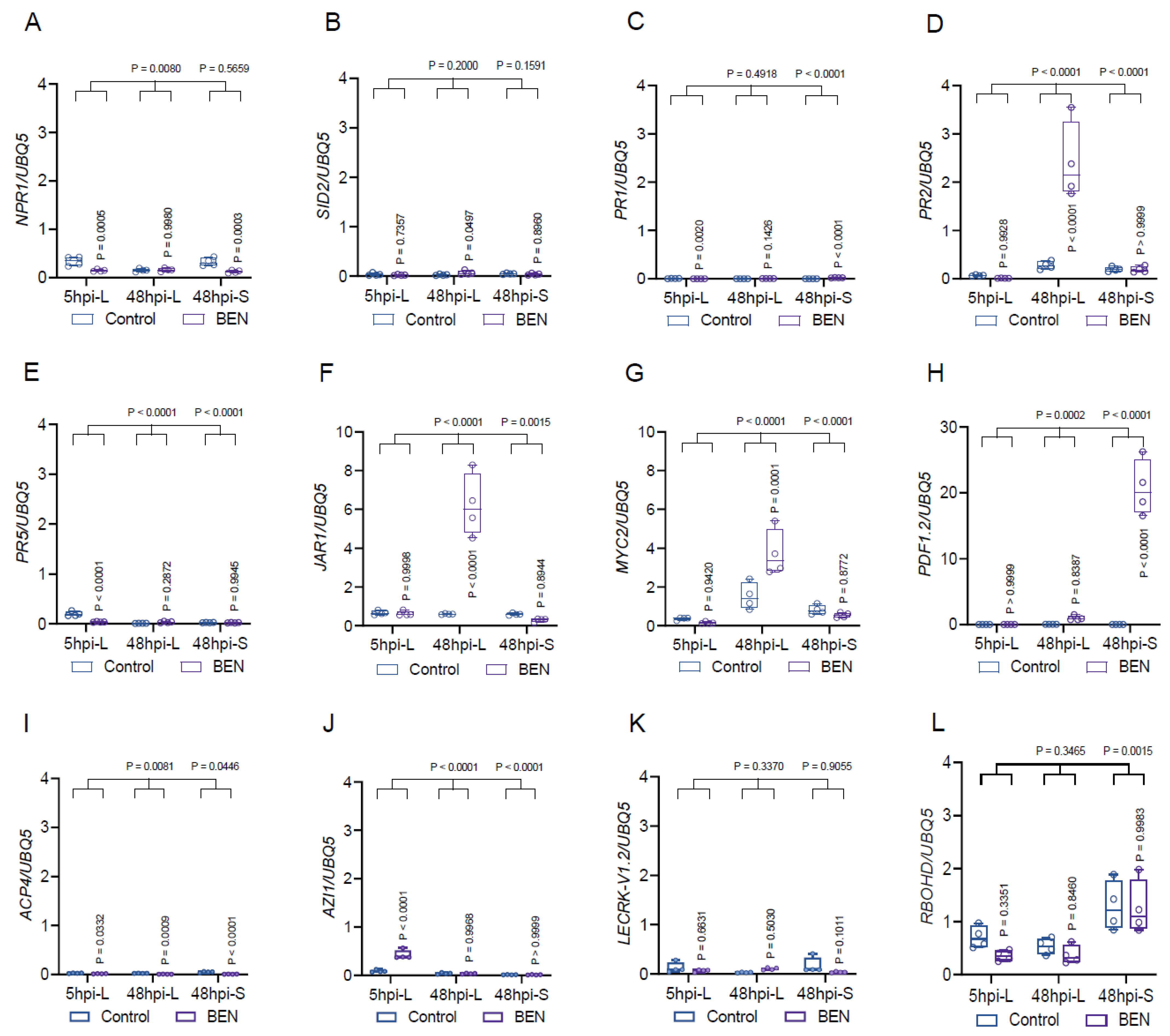 Plants 13 00672 g009