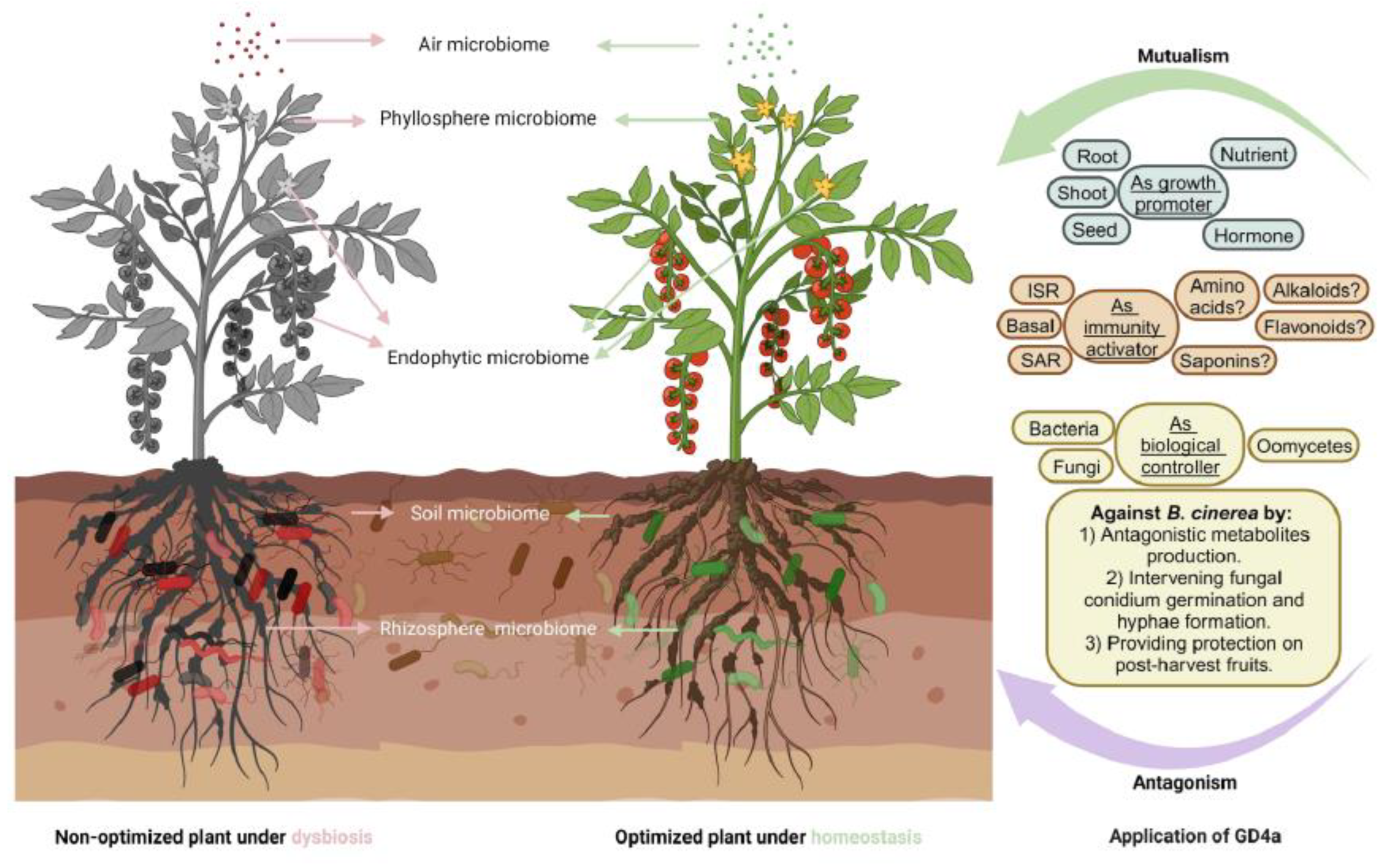 Plants 13 00672 g010