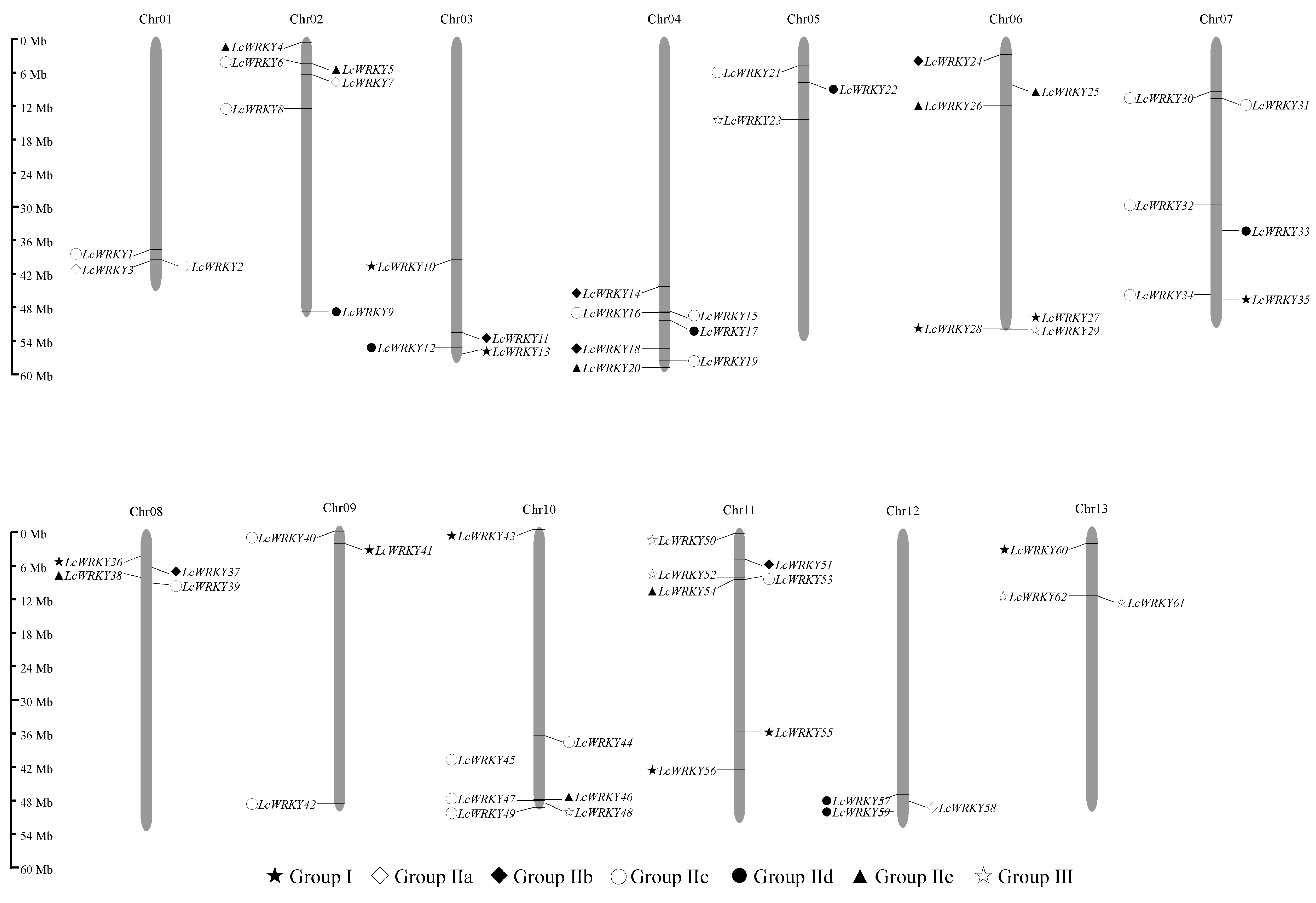 Plants 13 00676 g001