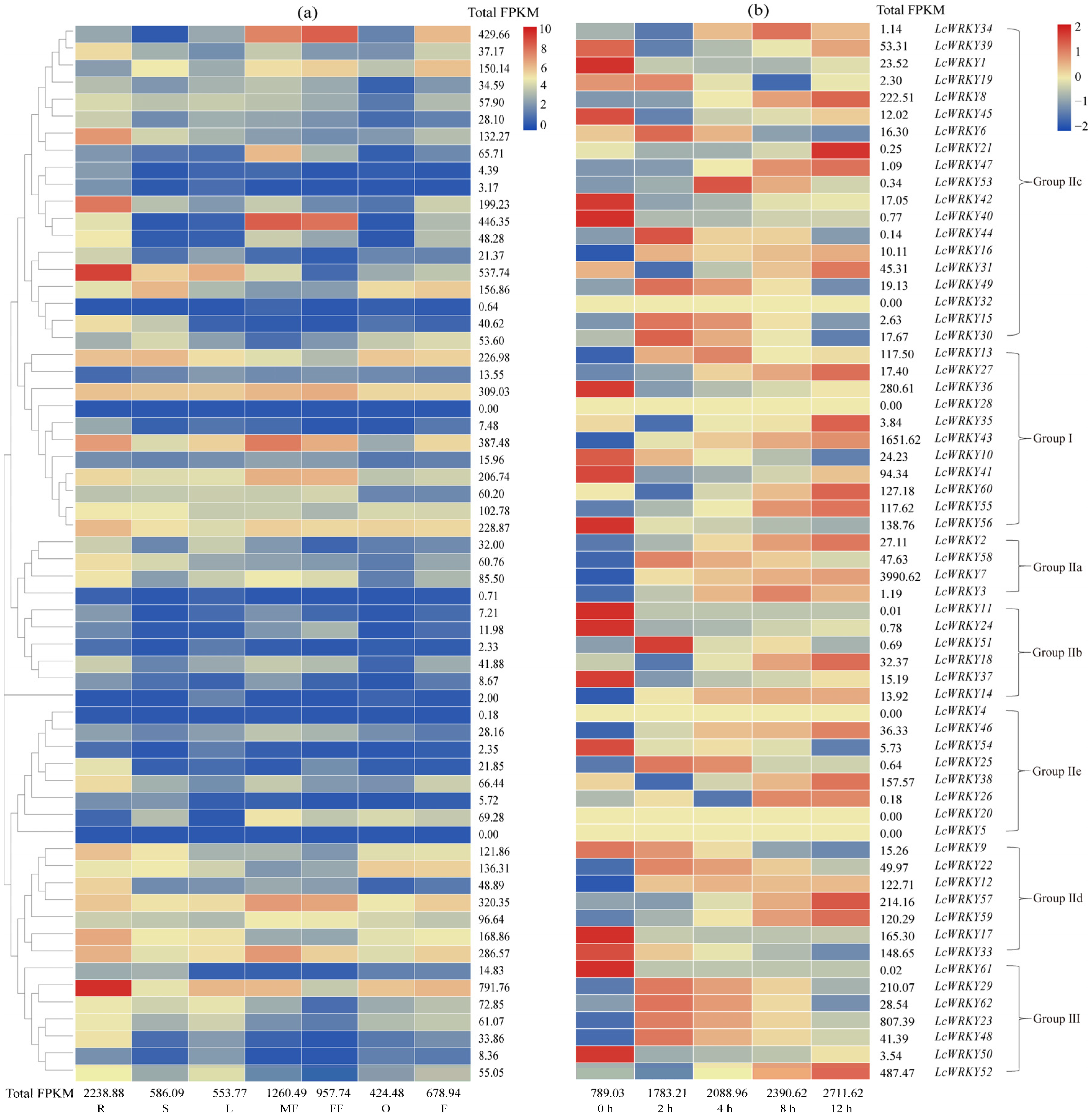 Plants 13 00676 g004