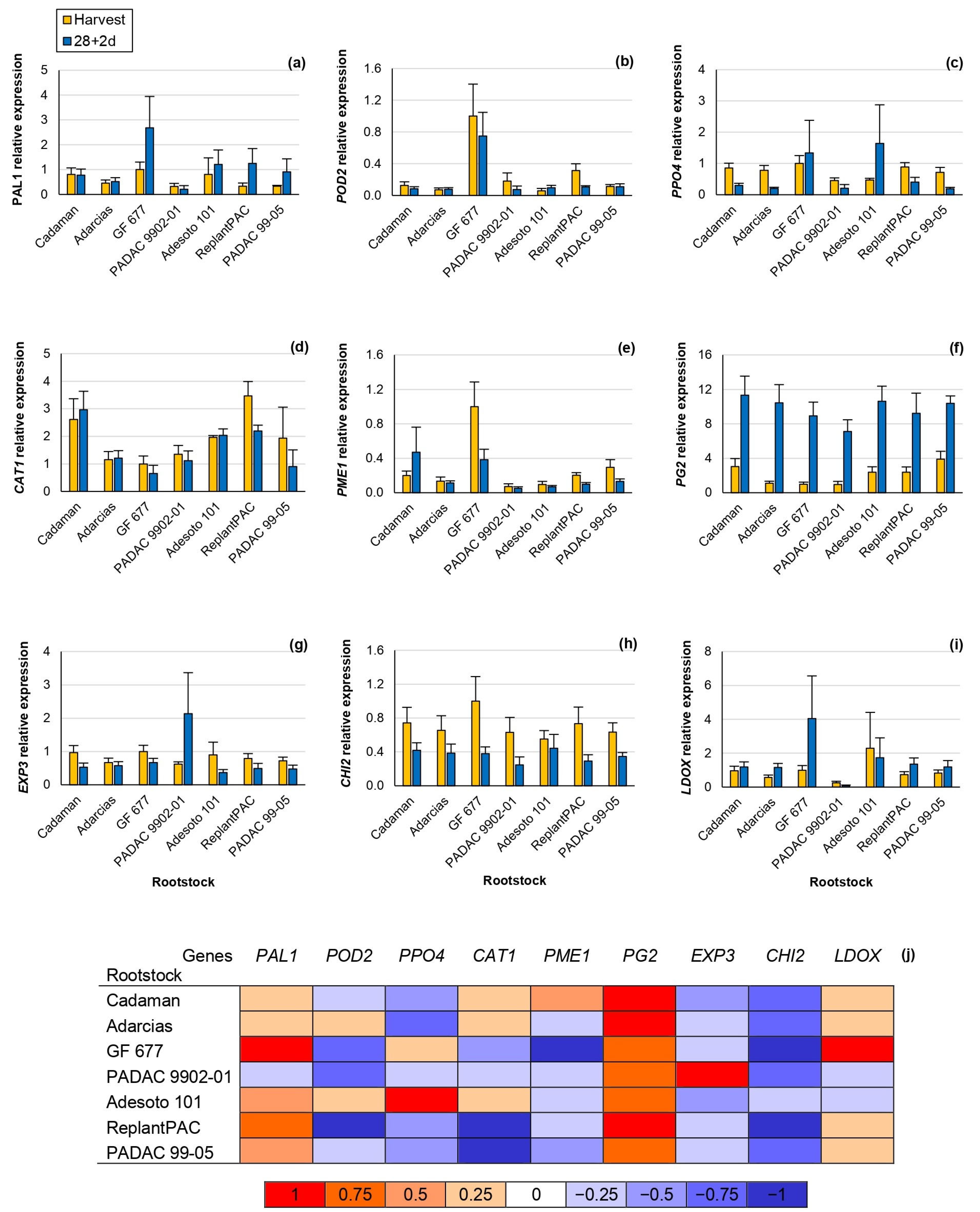 Plants 13 00677 g004