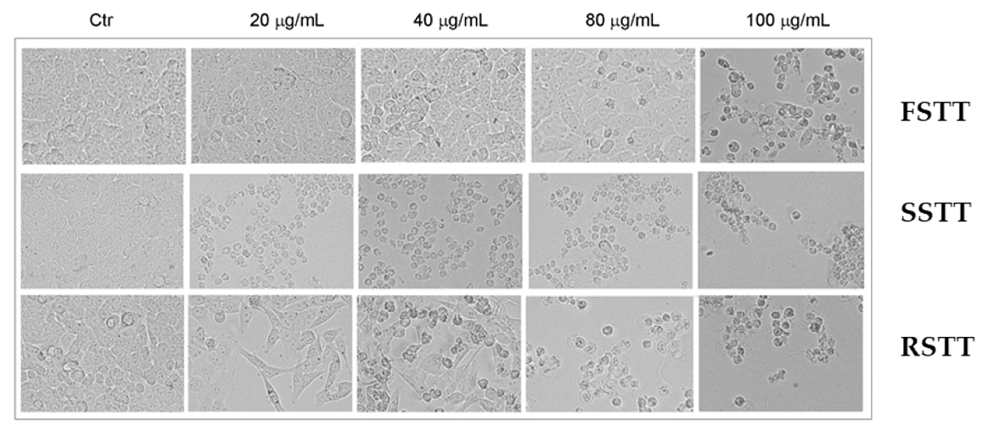 Plants 13 00678 g002