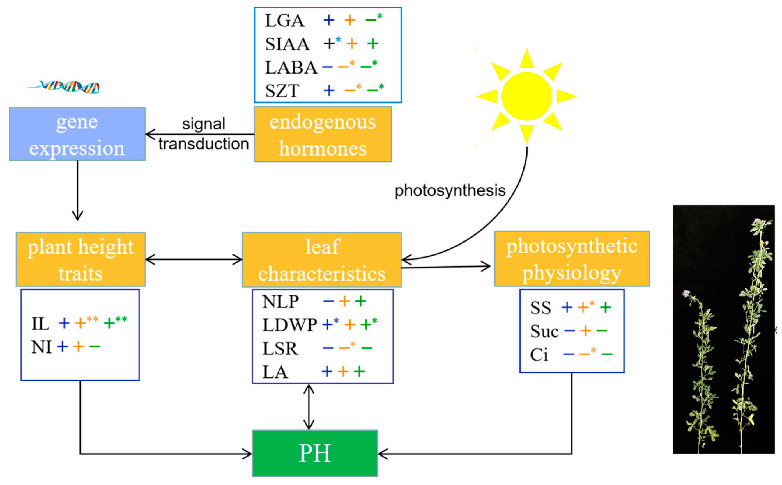 Plants 13 00679 g009