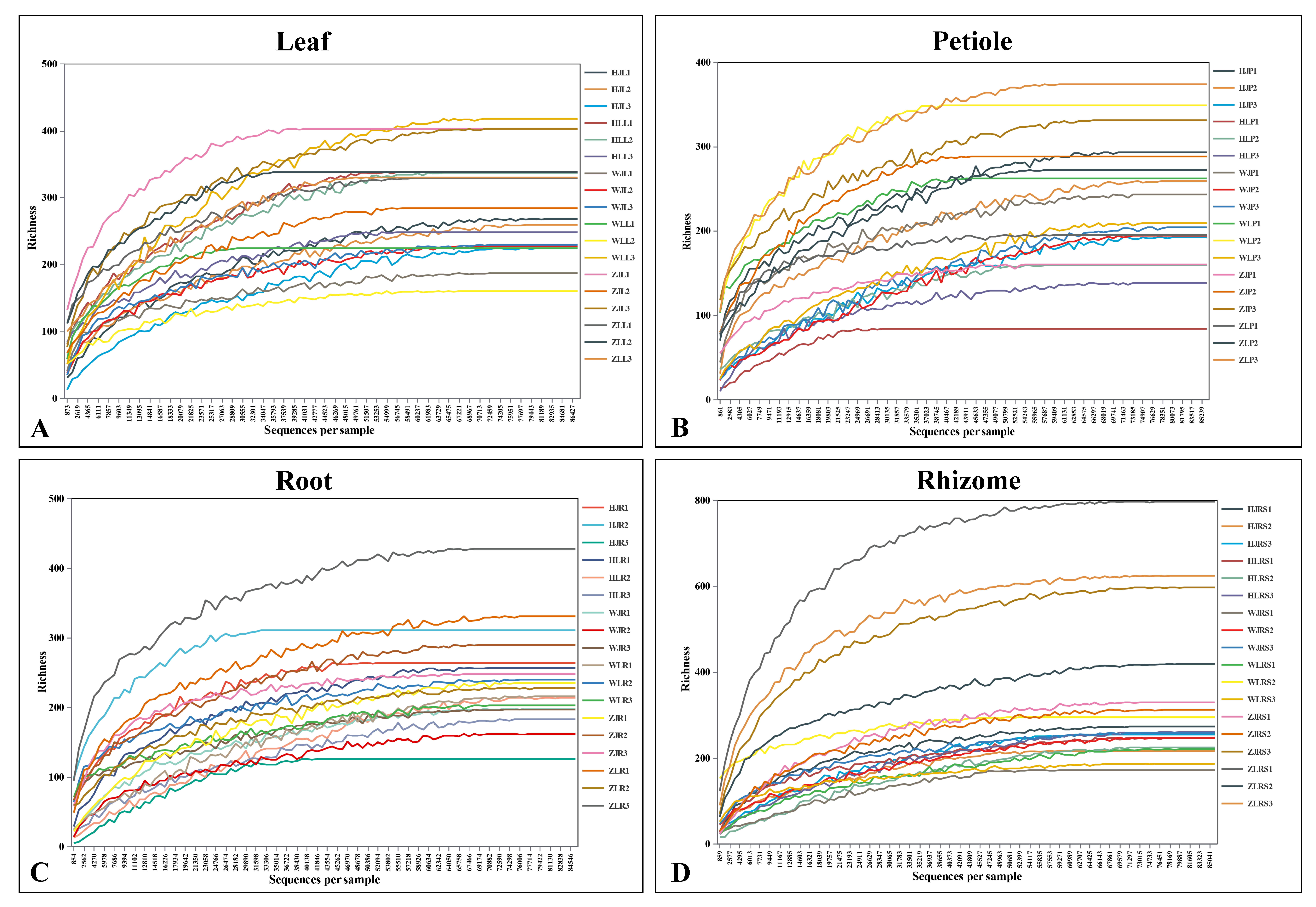 Plants 13 00685 g001