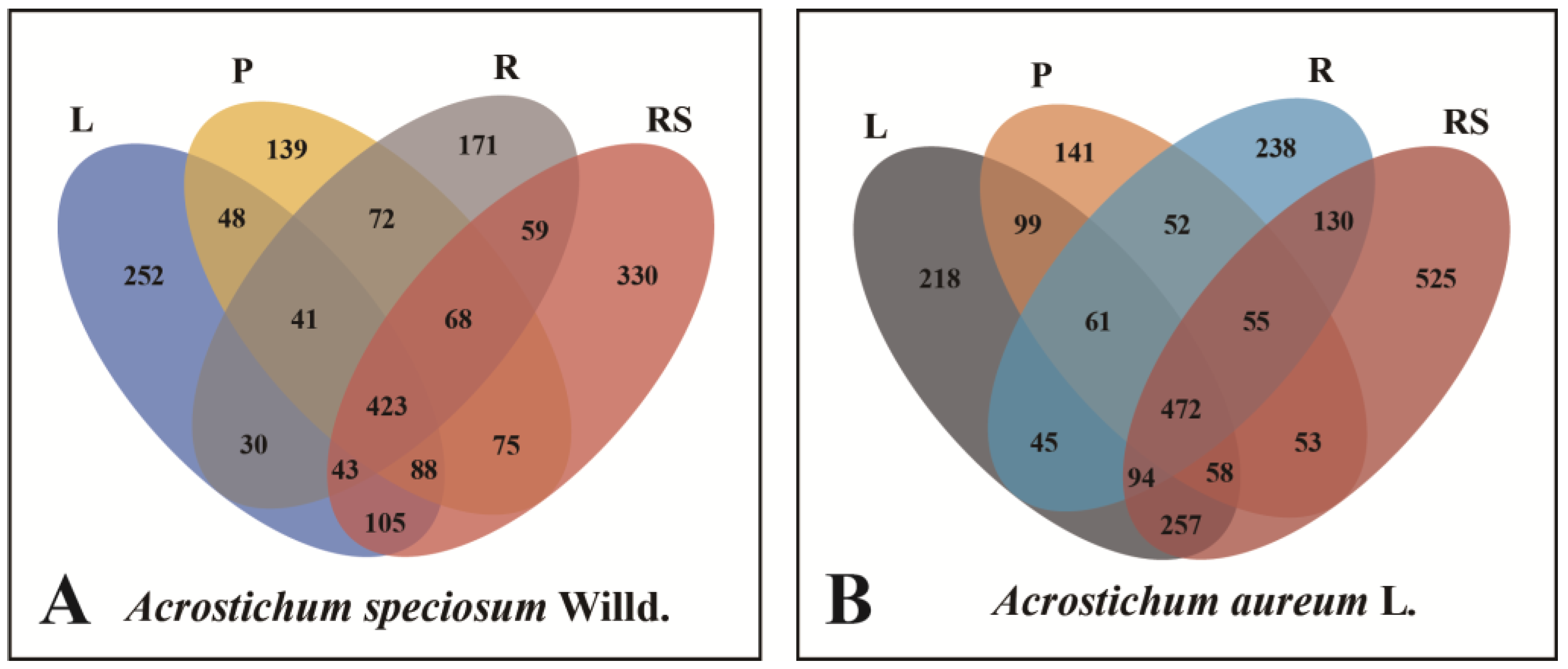 Plants 13 00685 g007