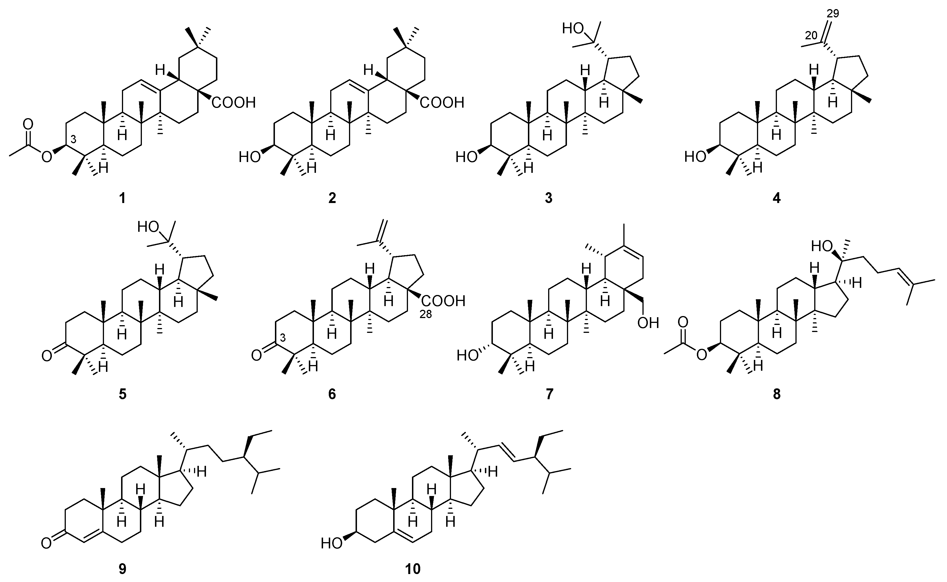 Plants 13 00692 g001