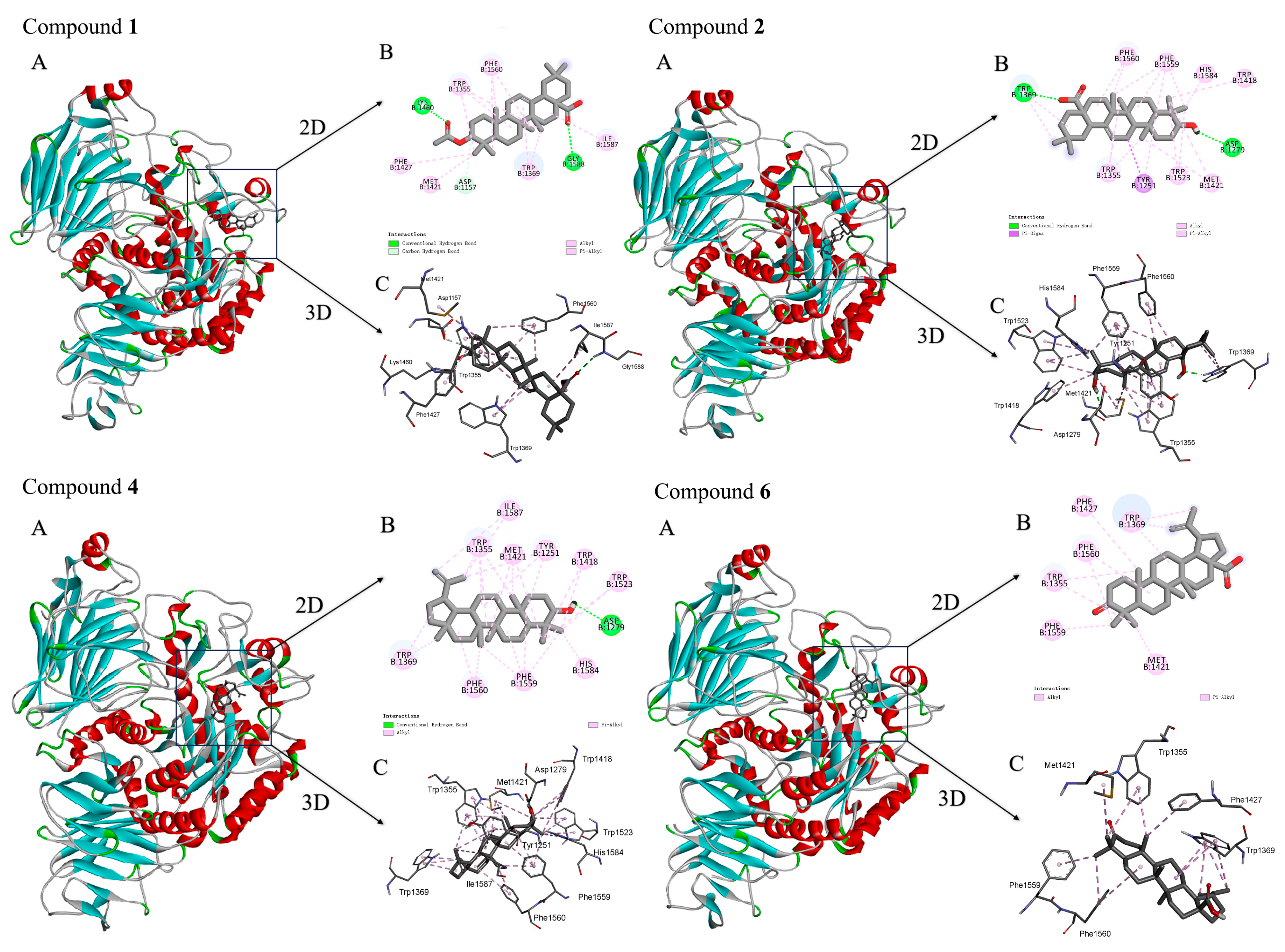 Plants 13 00692 g002