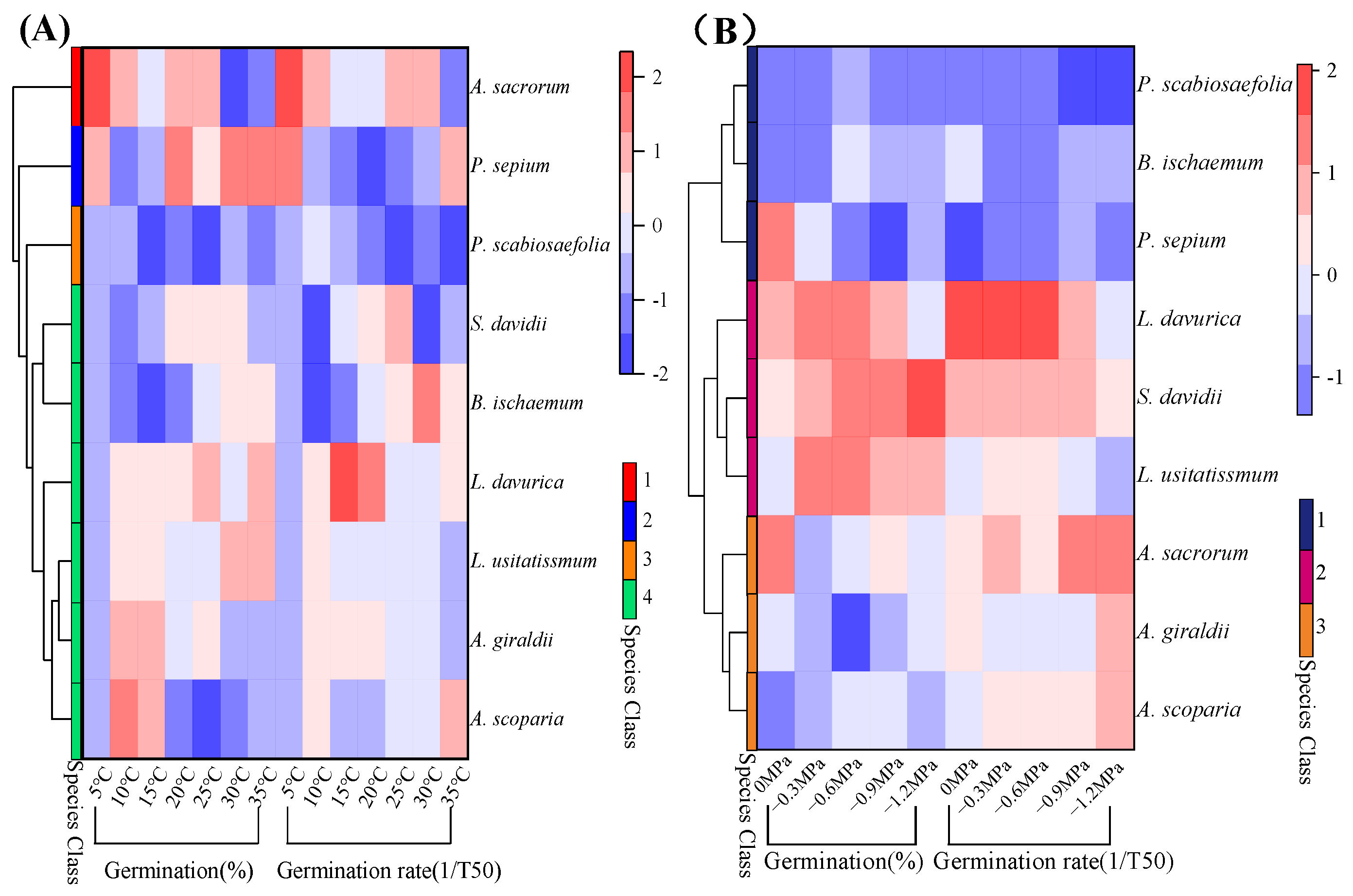 Plants 13 00693 g004