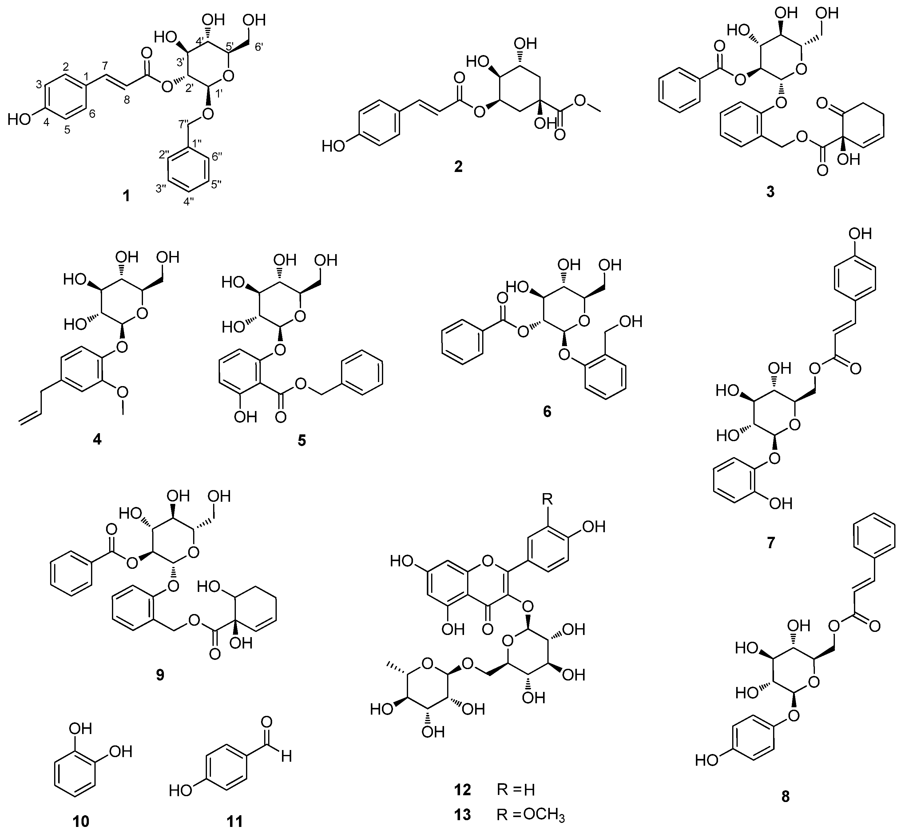 Plants 13 00701 g001