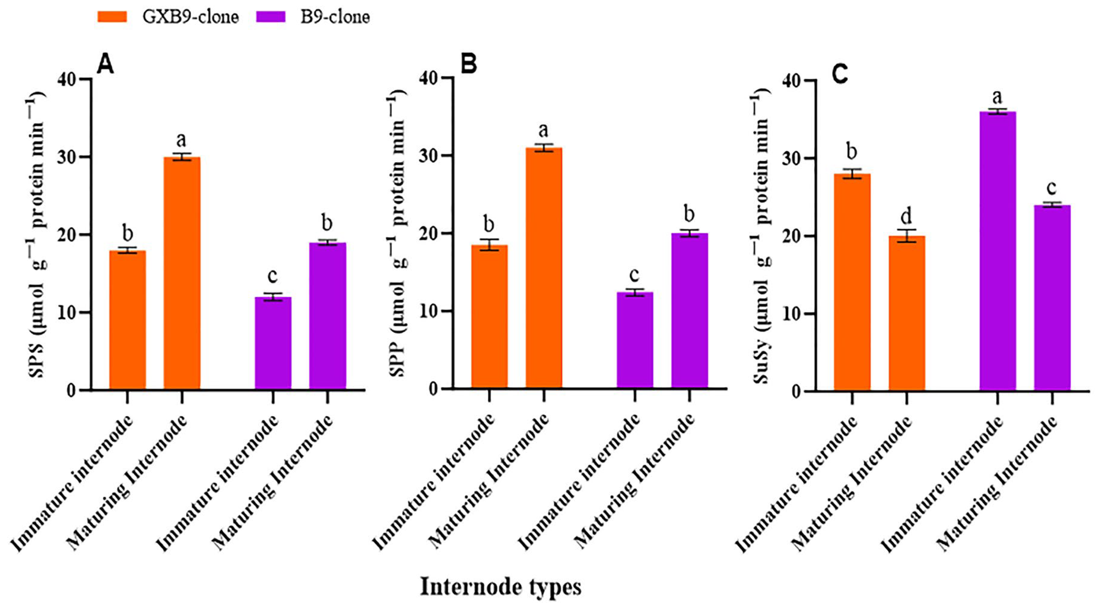 Plants 13 00707 g002
