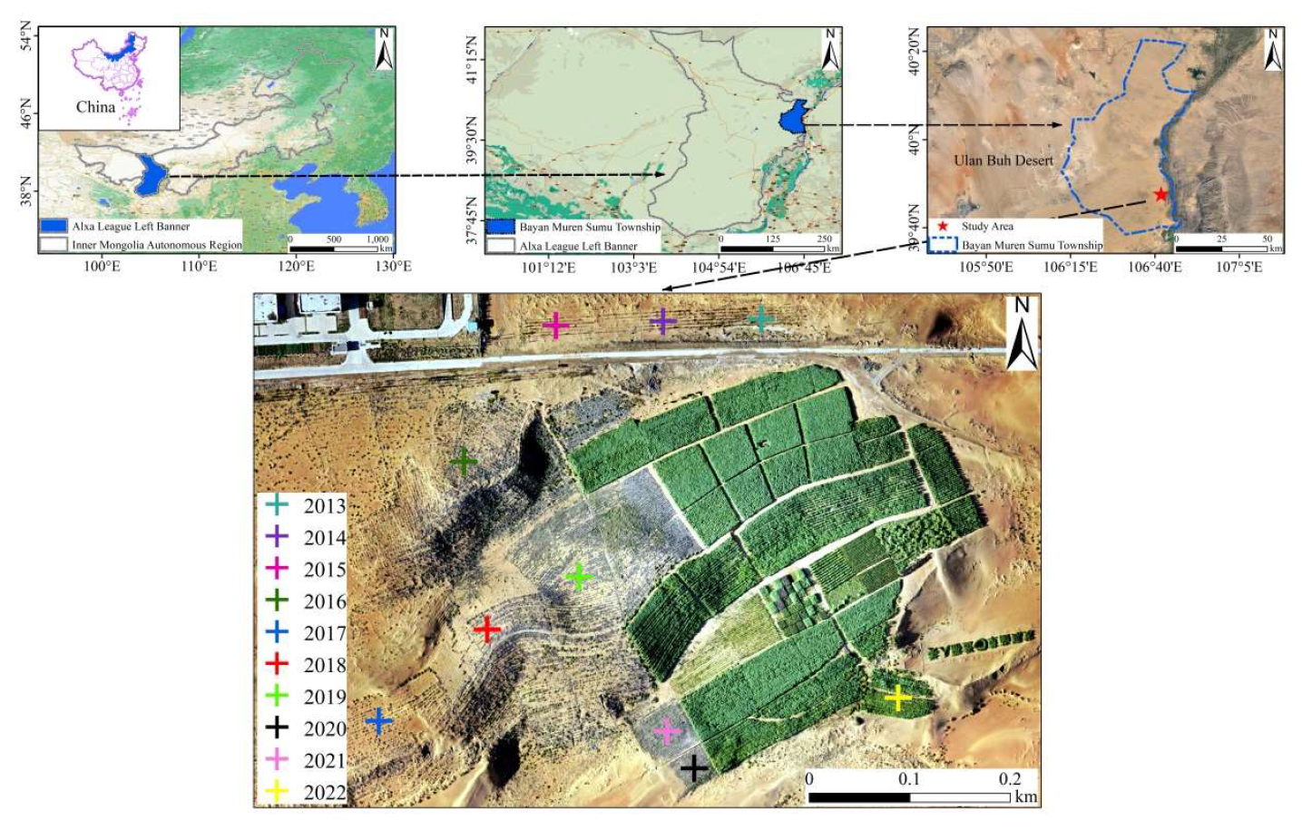 Plants 13 00708 g001