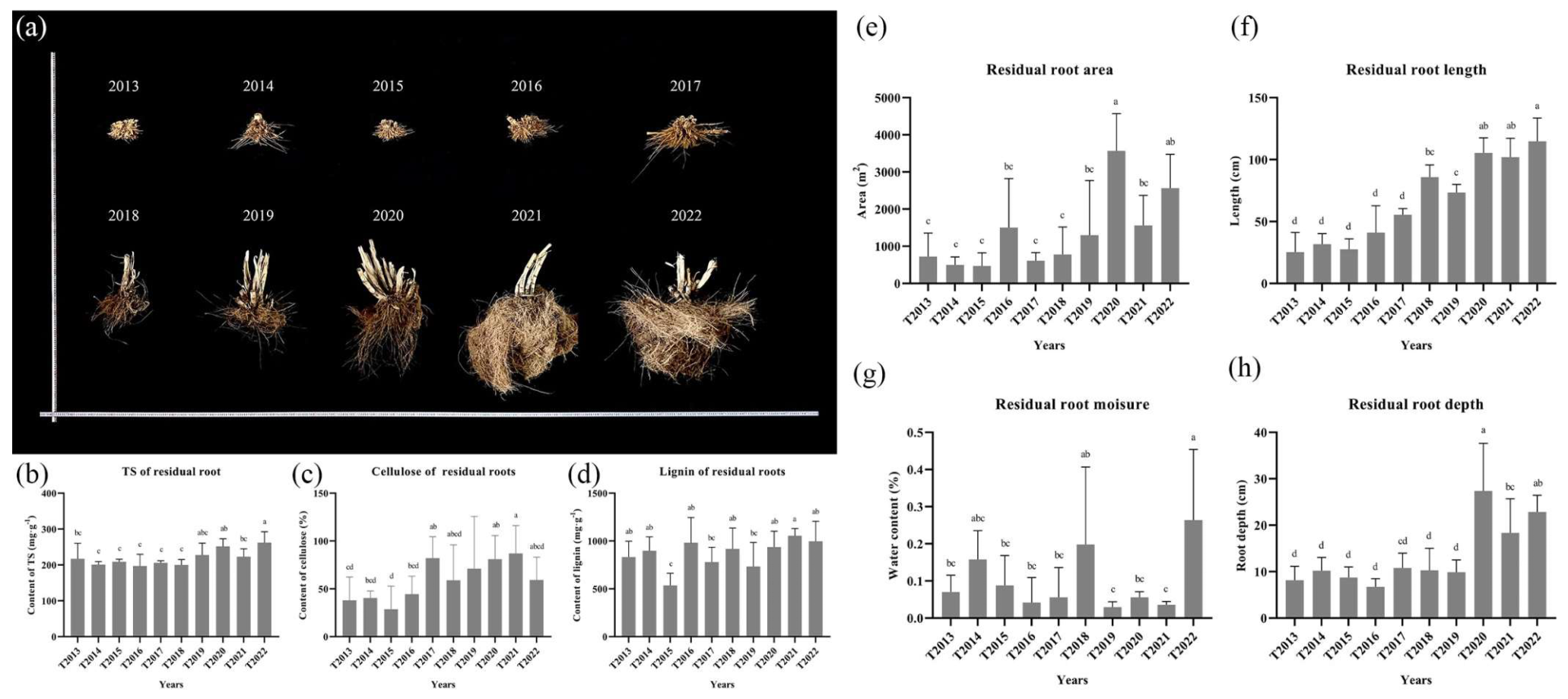 Plants 13 00708 g002