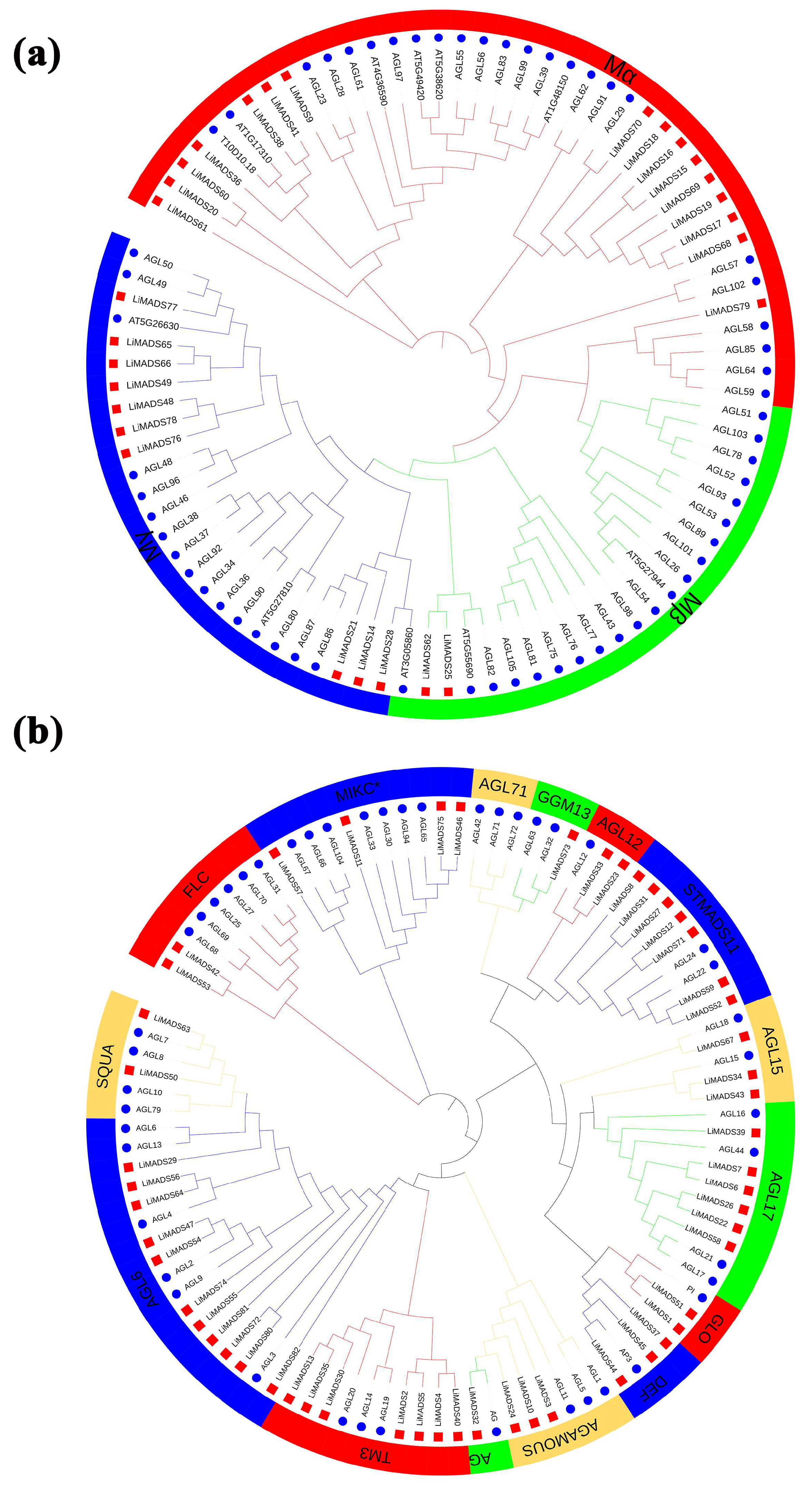 Plants 13 00709 g001
