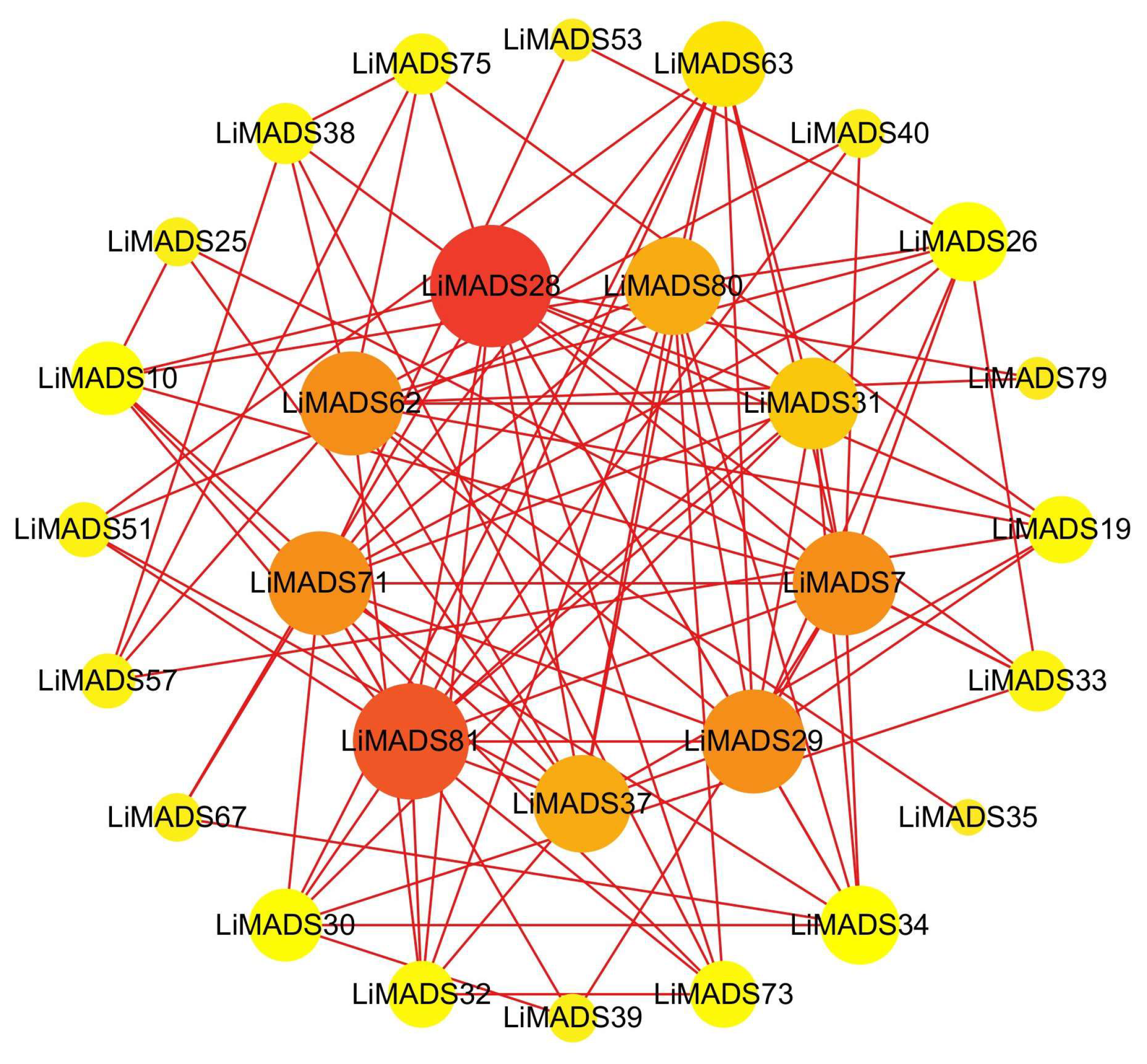 Plants 13 00709 g006