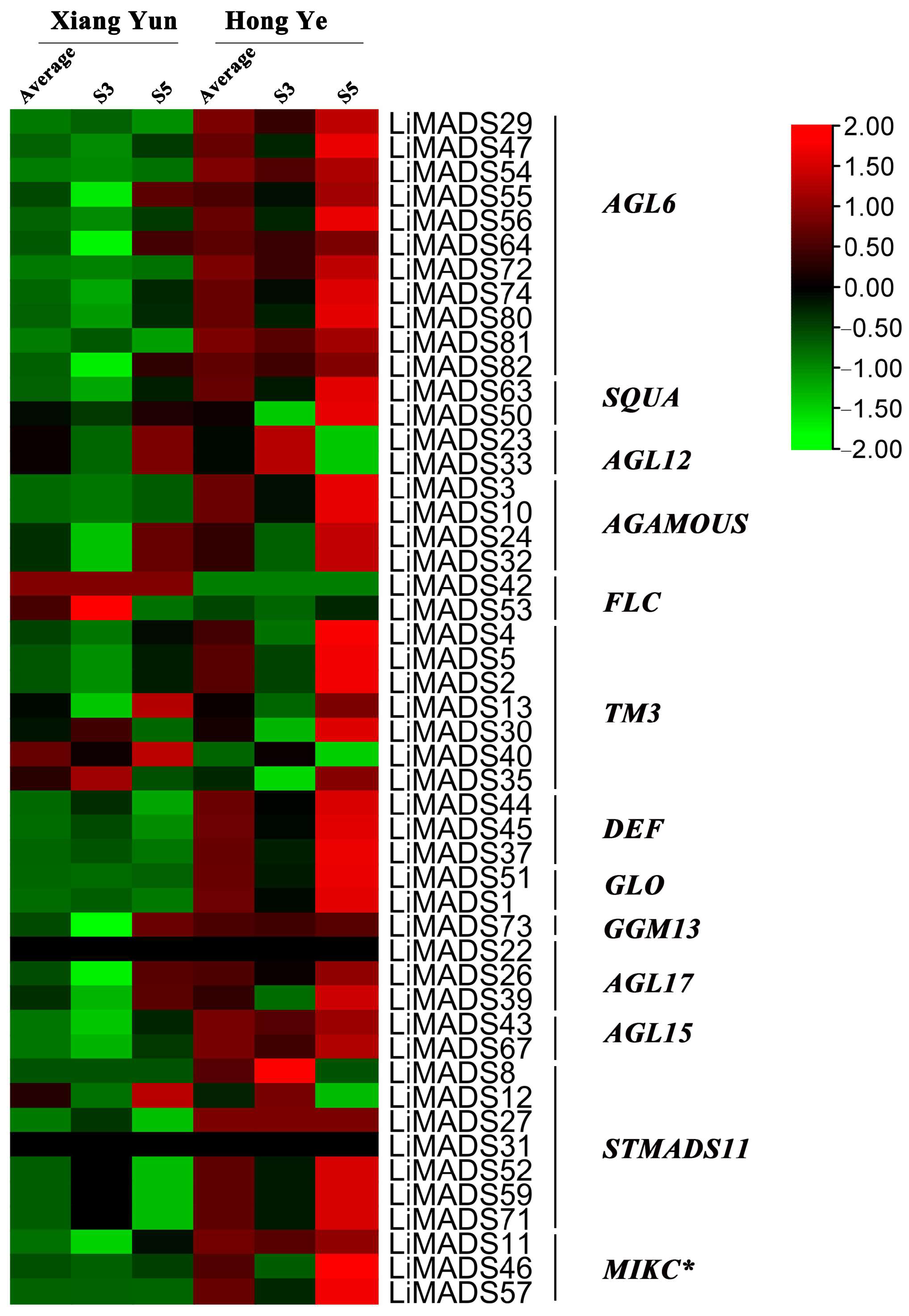Plants 13 00709 g007